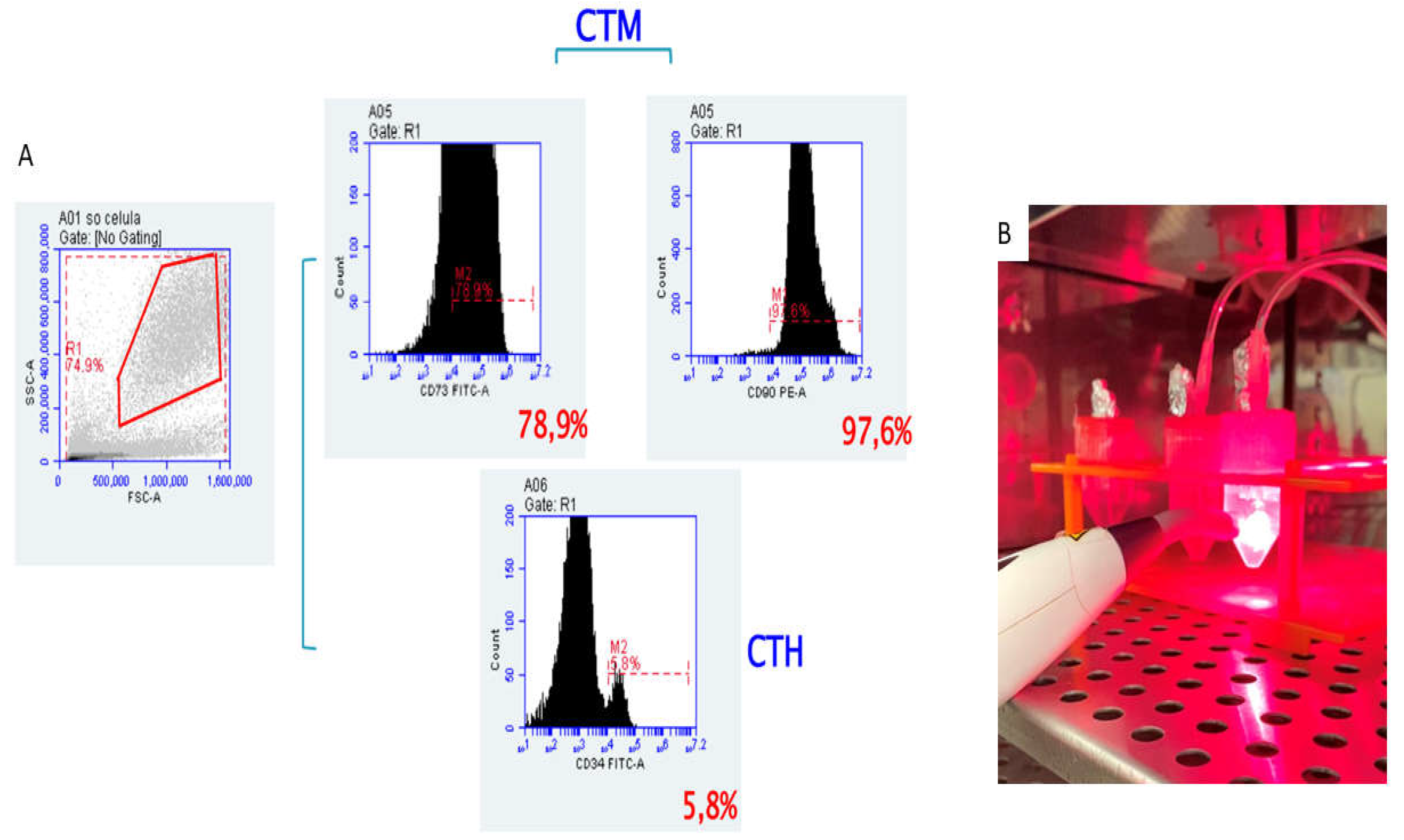 Preprints 104864 g006