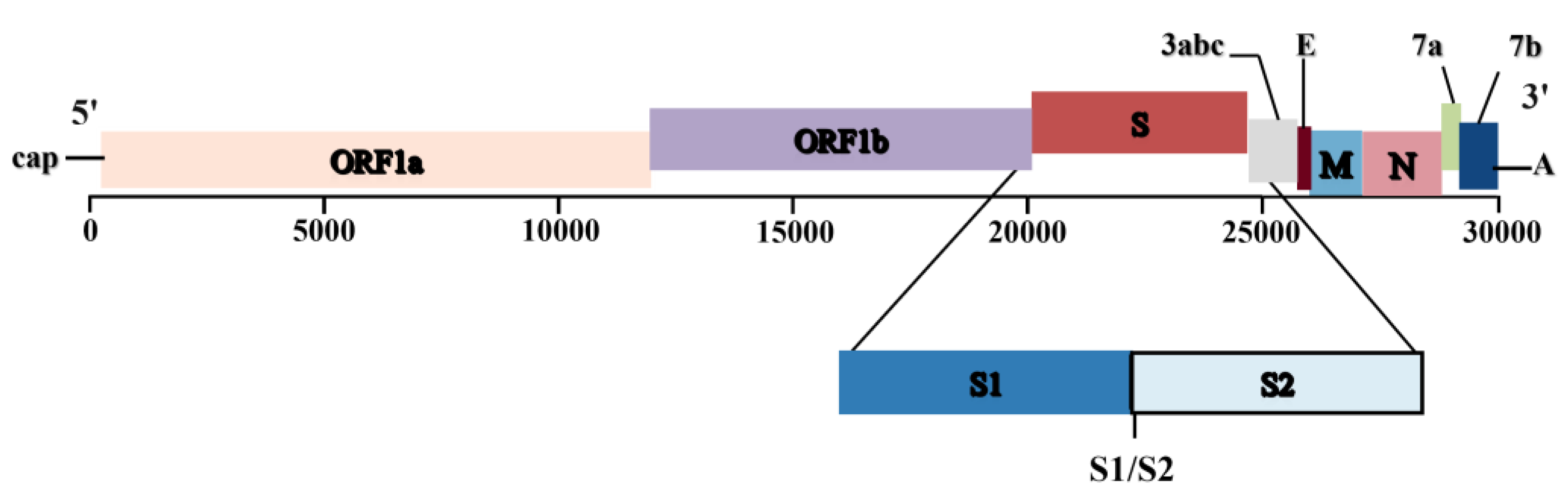 Preprints 72796 g002