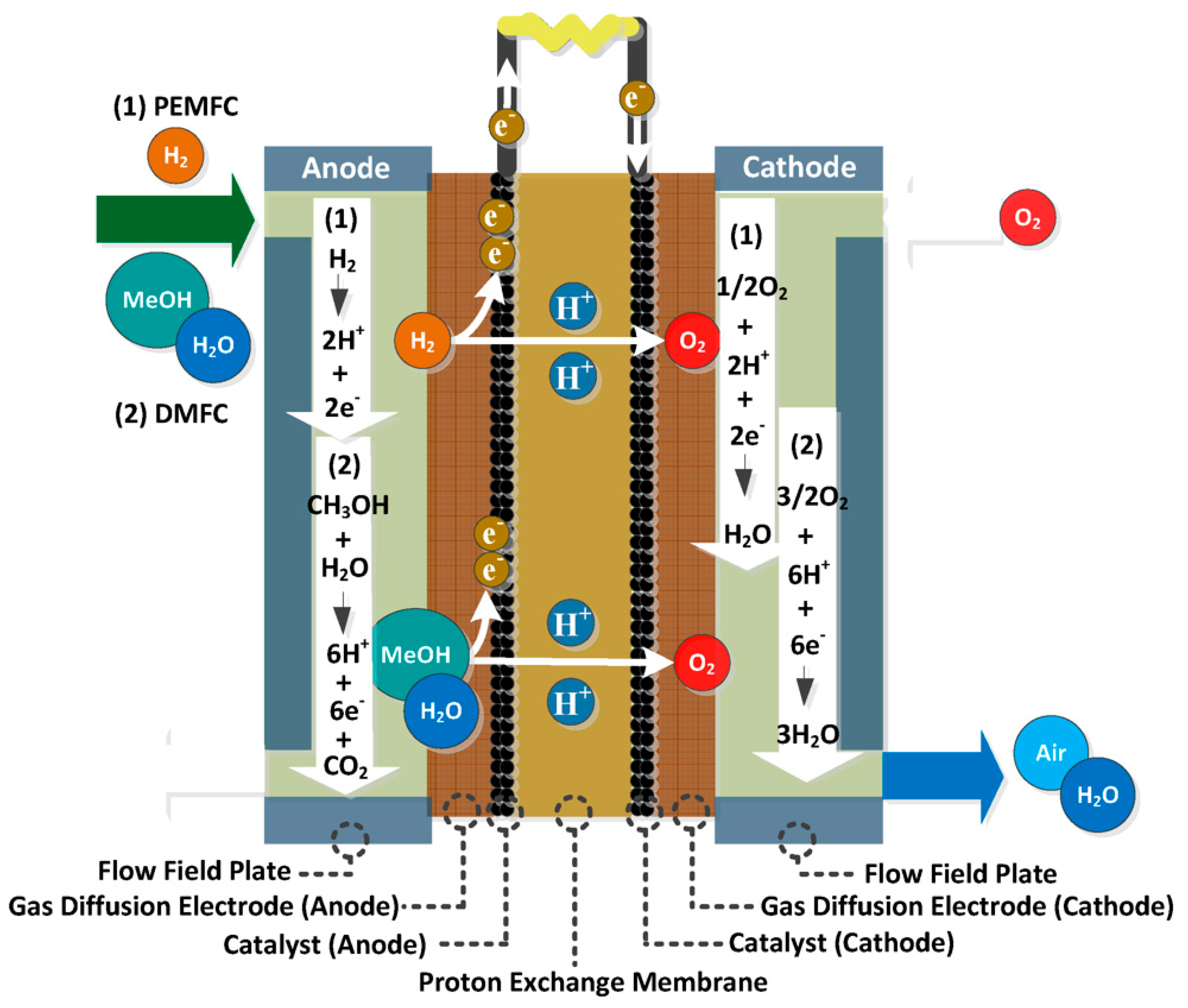 Preprints 83943 g005