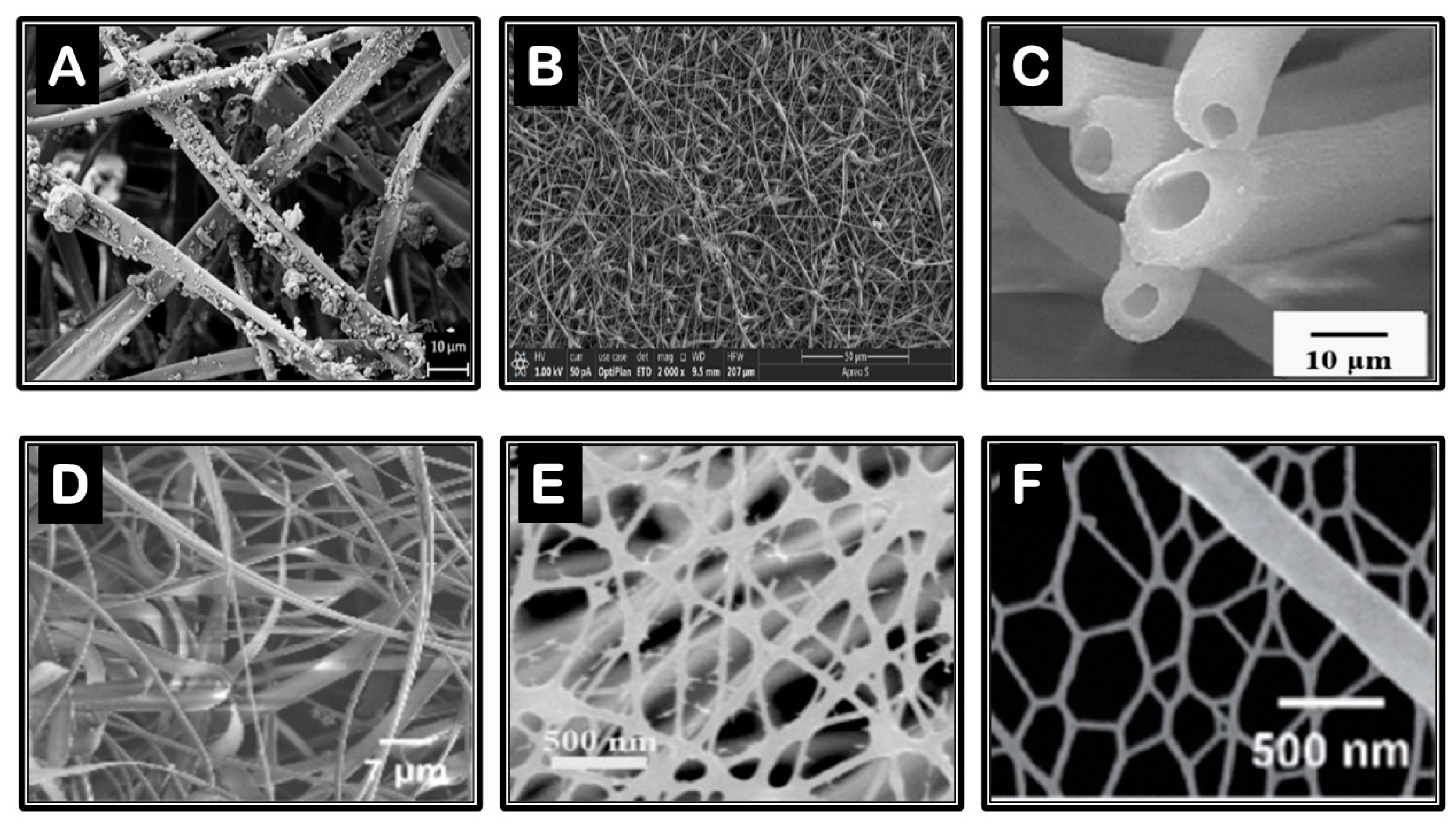 Preprints 91520 g003