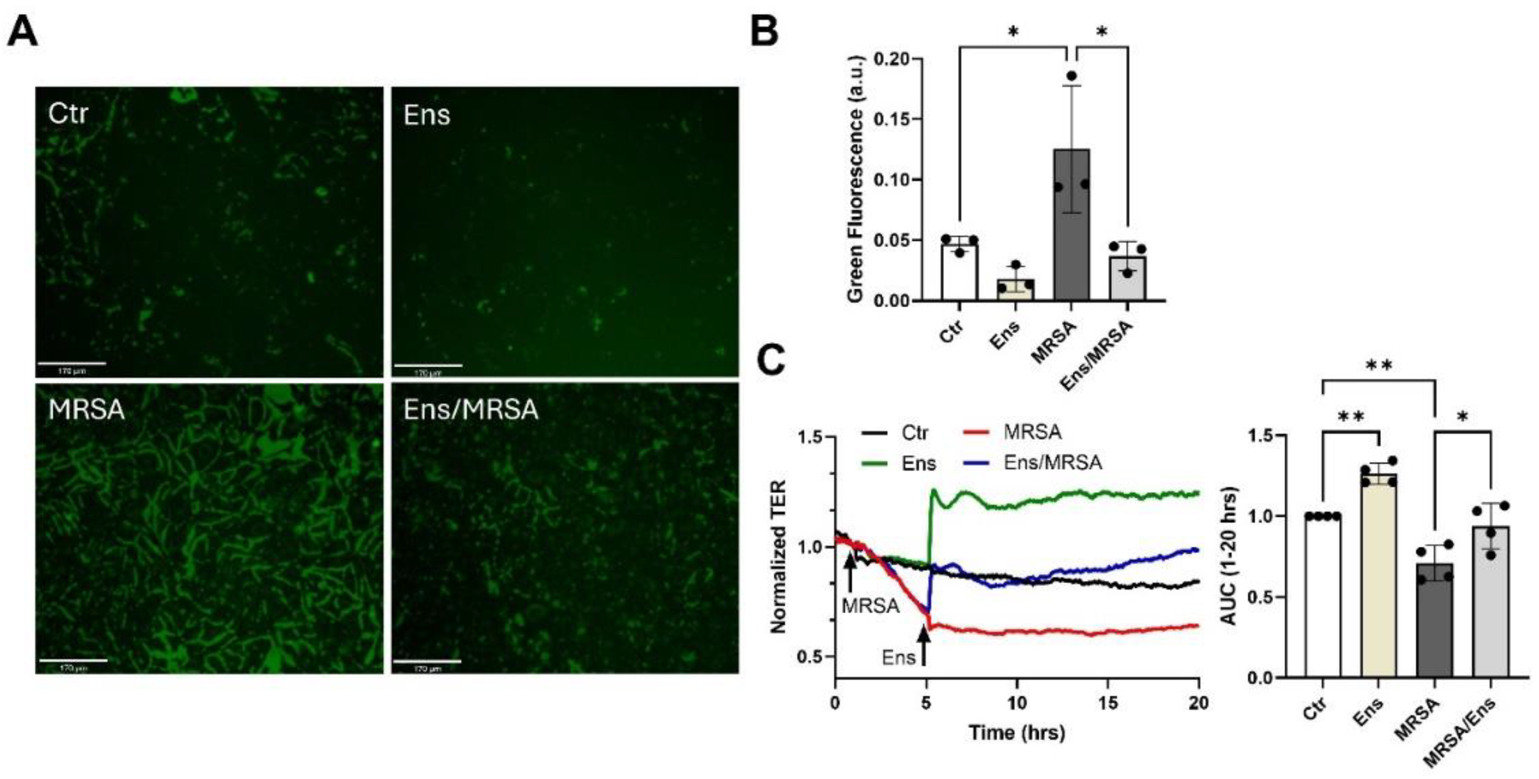 Preprints 117846 g002