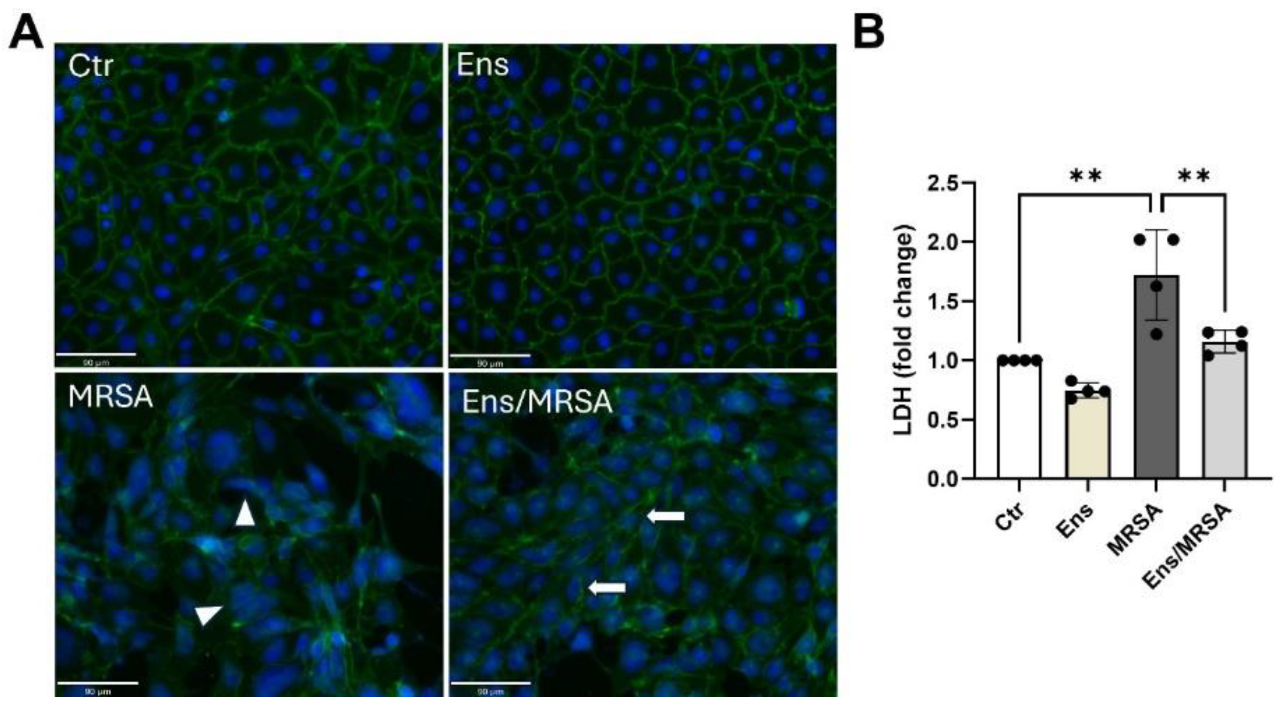 Preprints 117846 g003