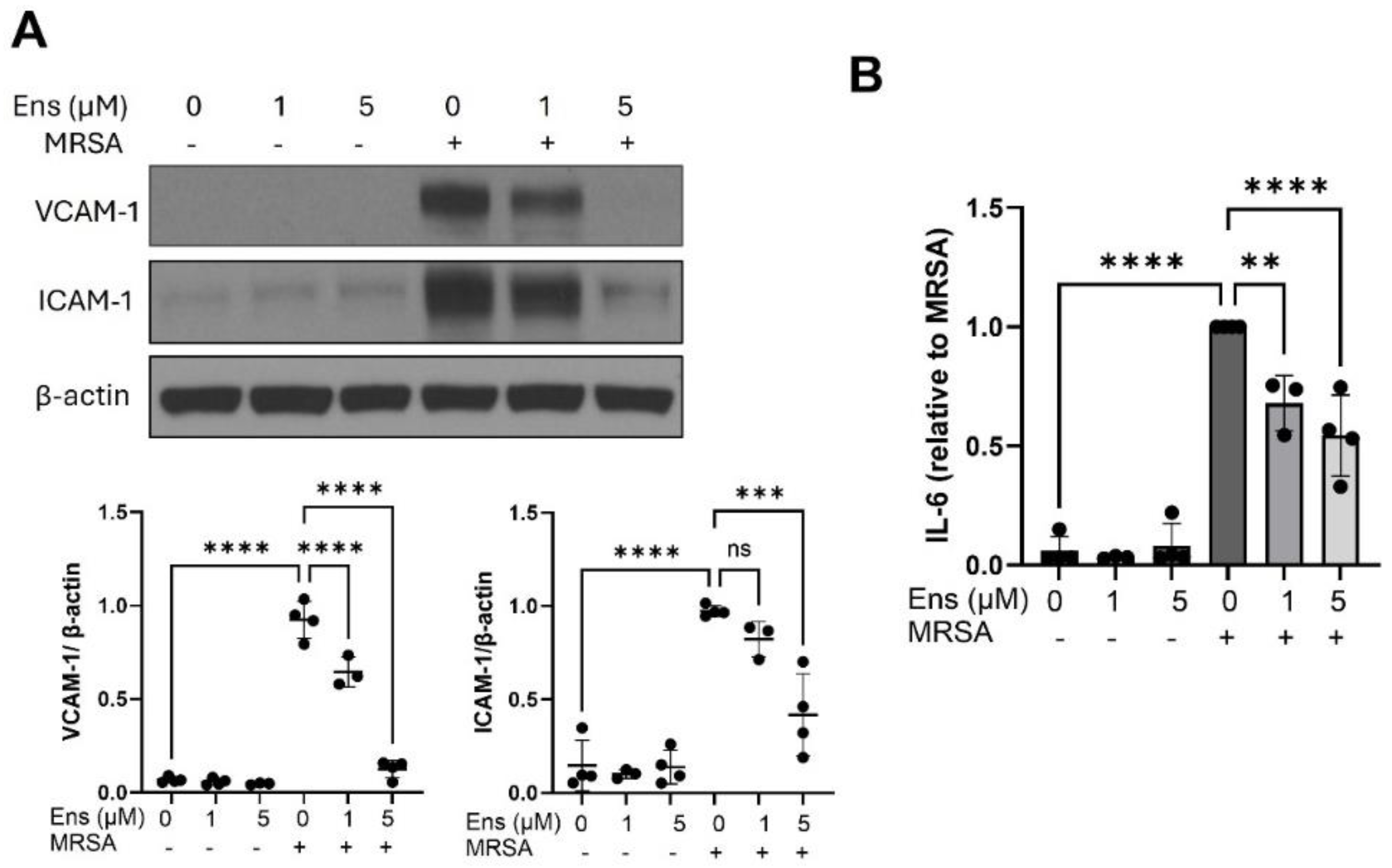 Preprints 117846 g004