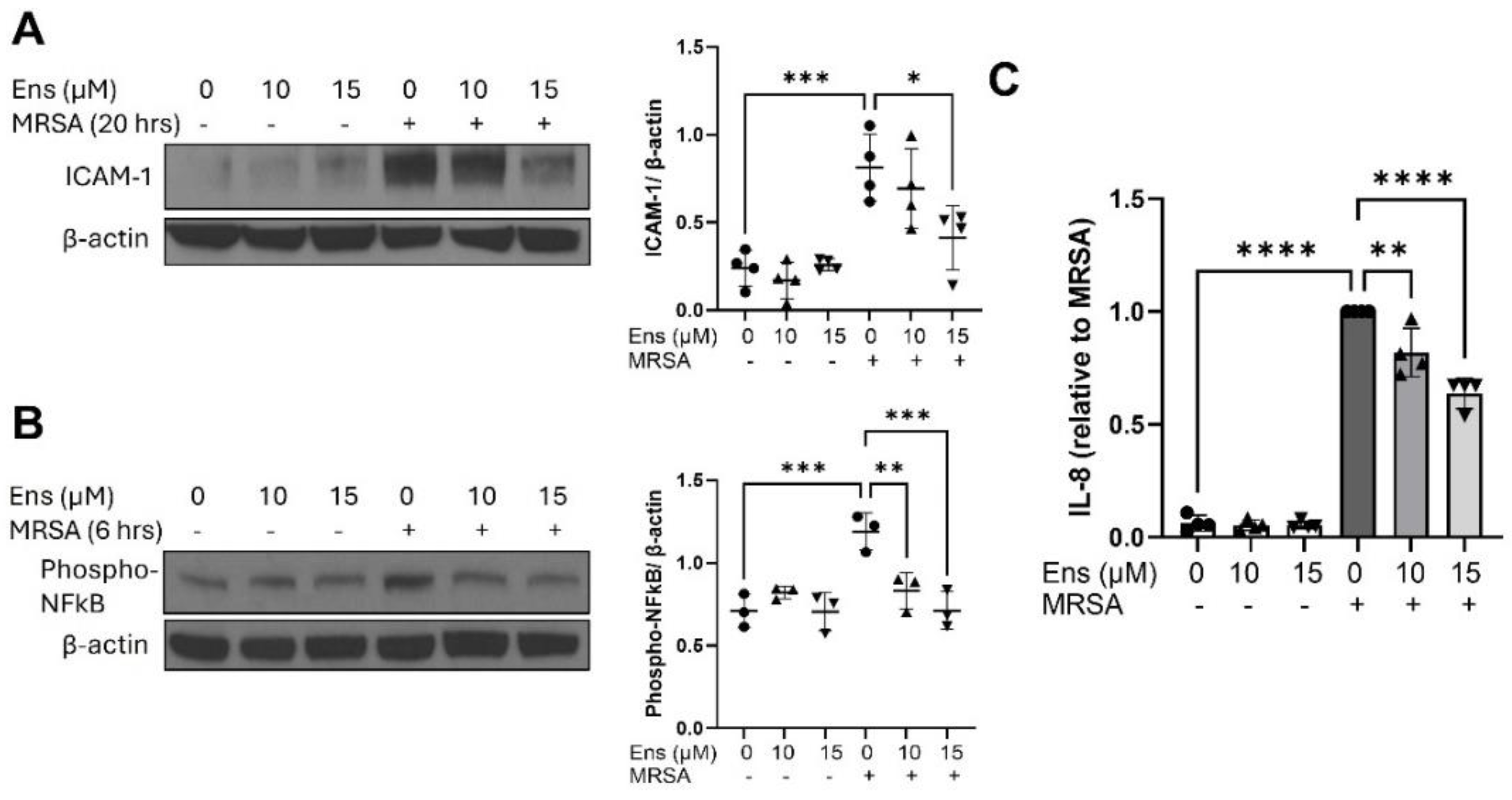 Preprints 117846 g005