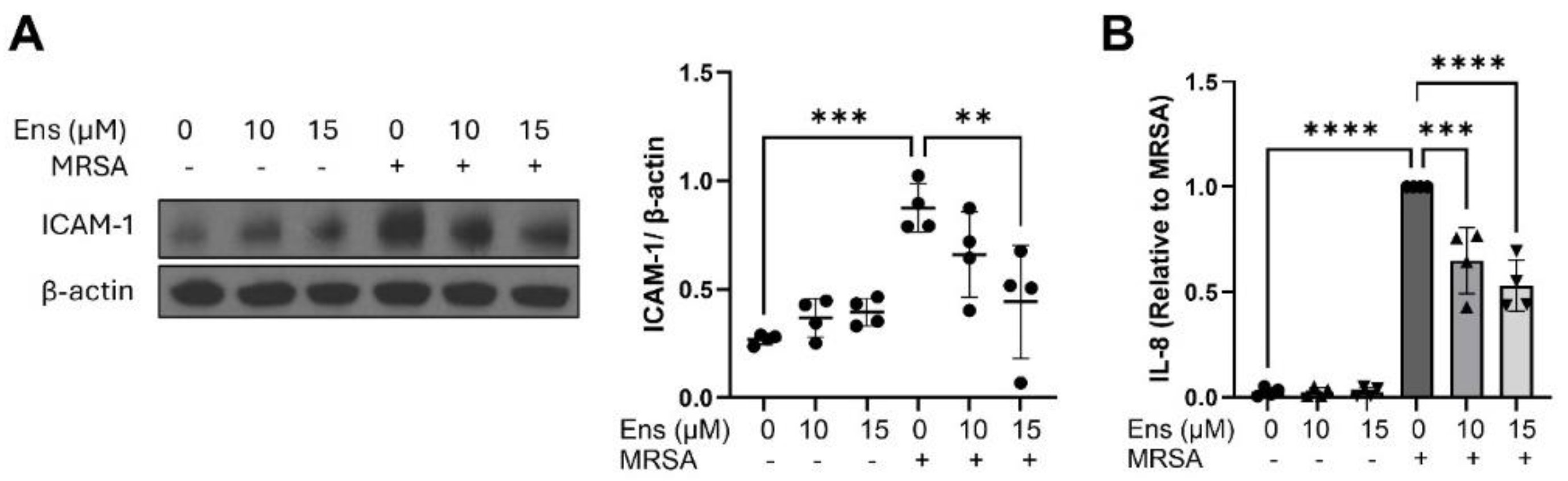 Preprints 117846 g006