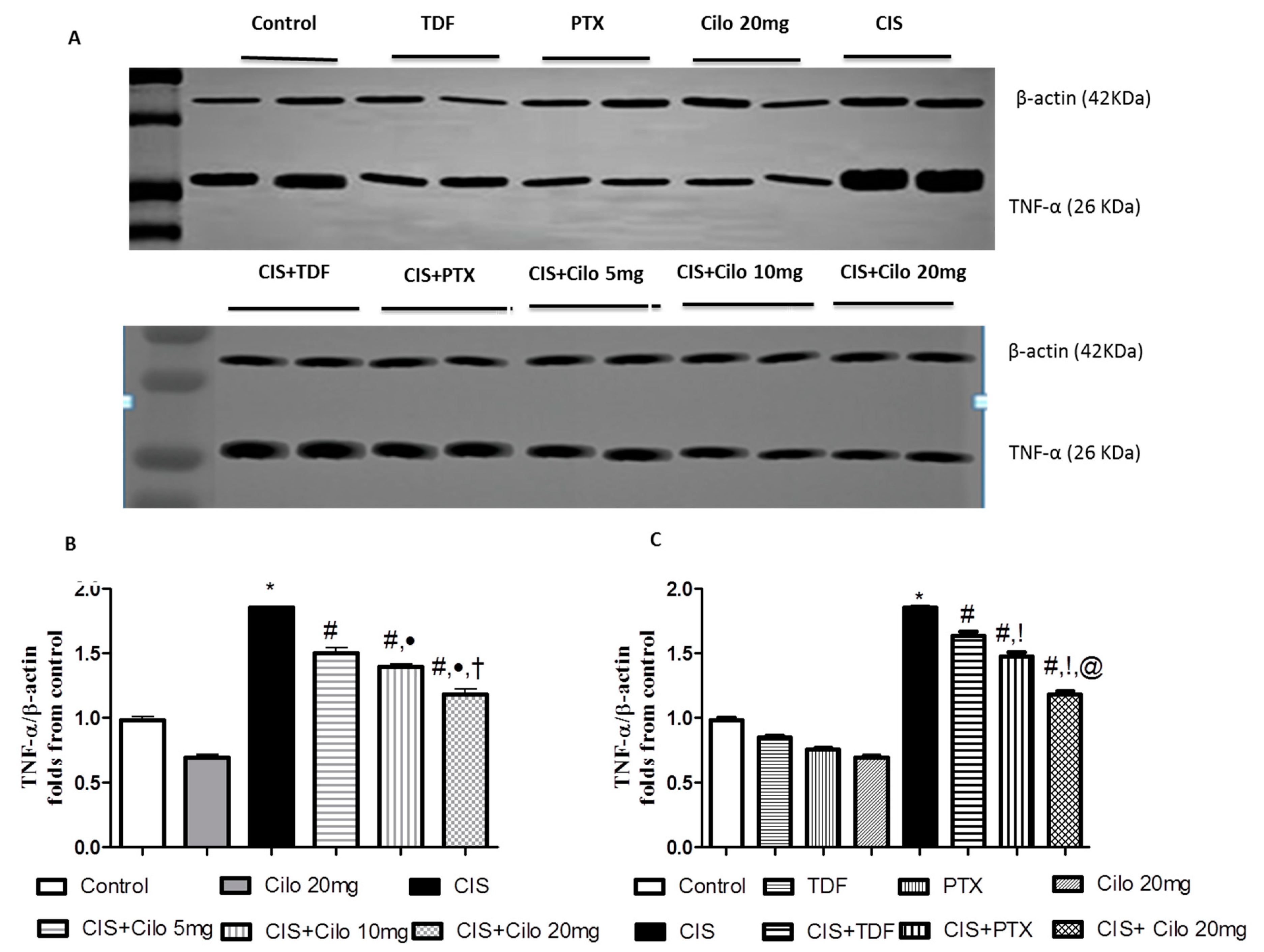 Preprints 74700 g003