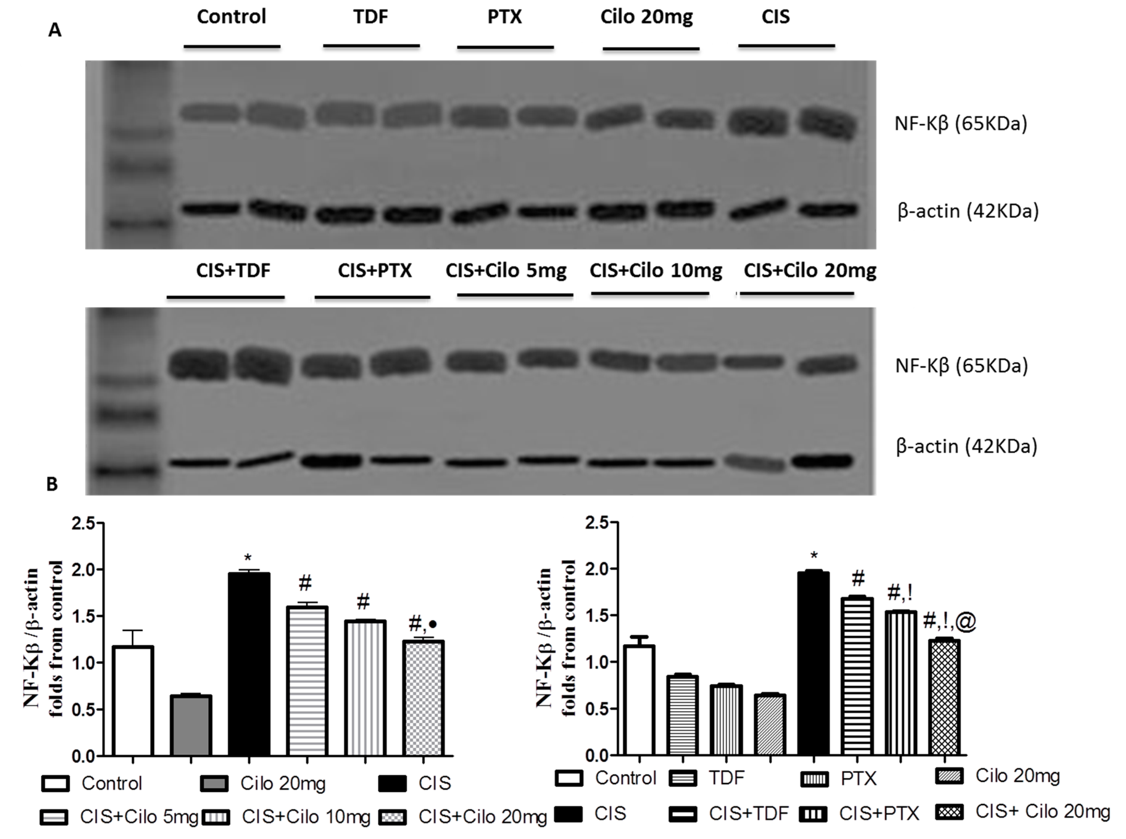 Preprints 74700 g004