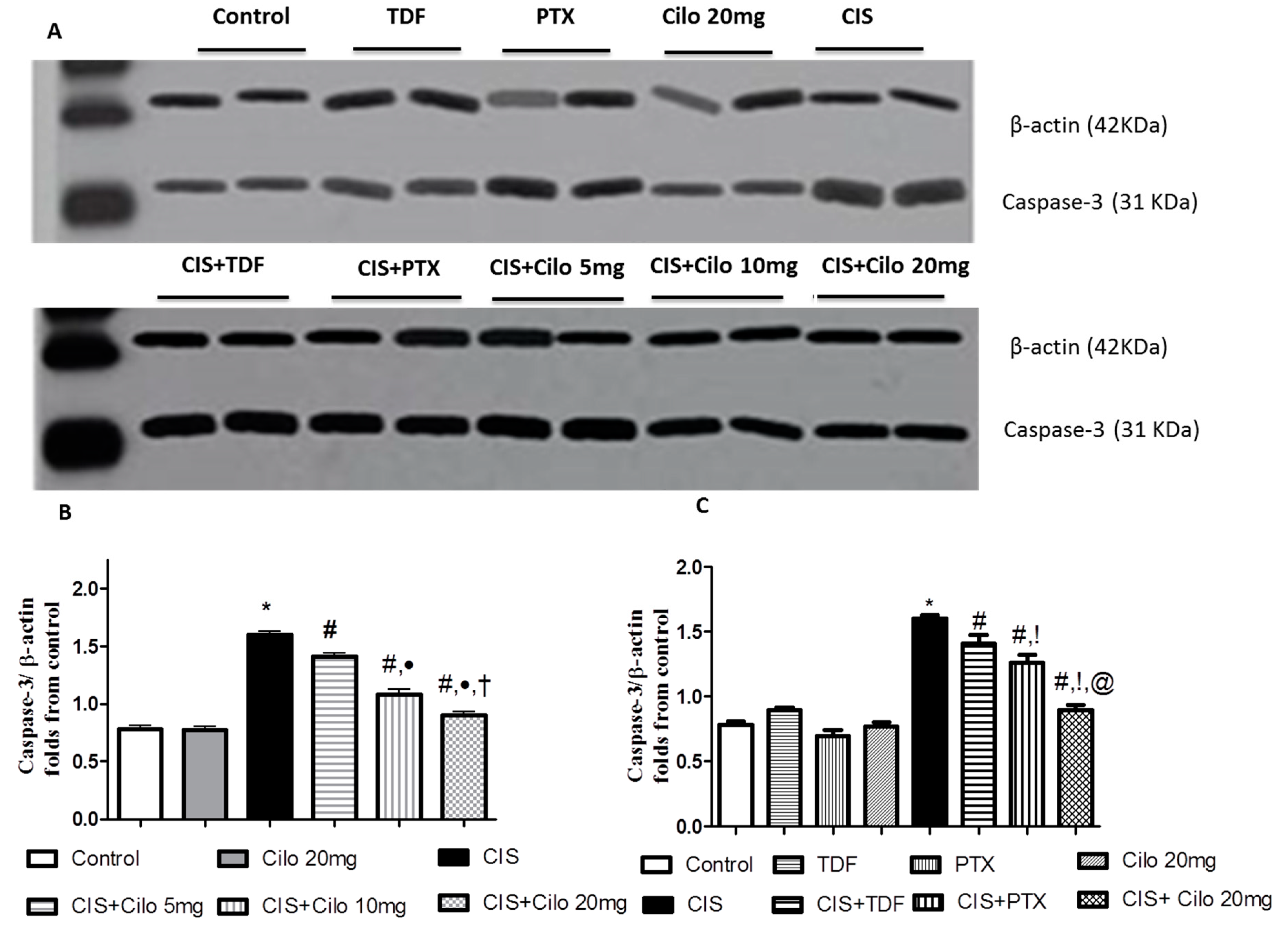 Preprints 74700 g005