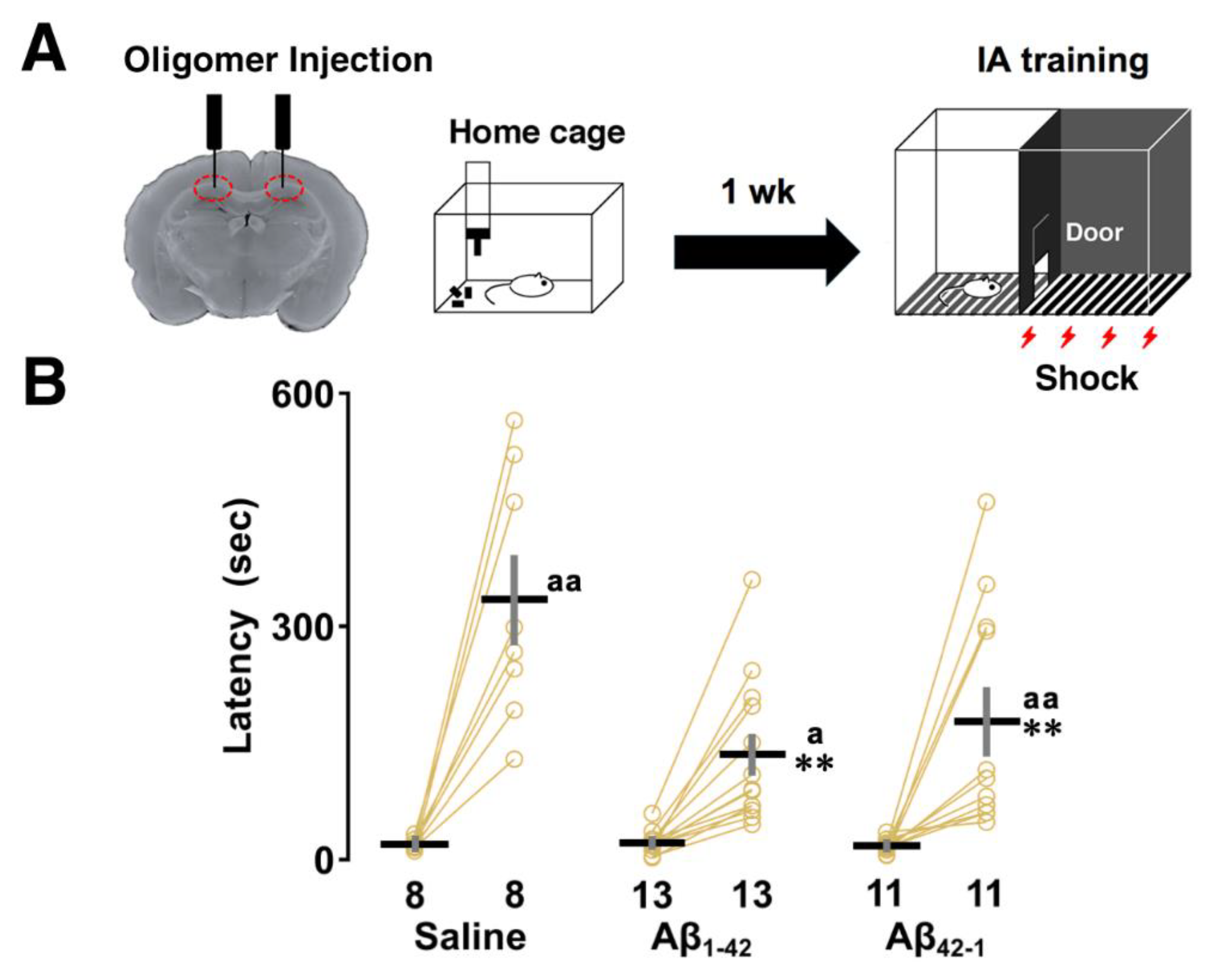 Preprints 119419 g001