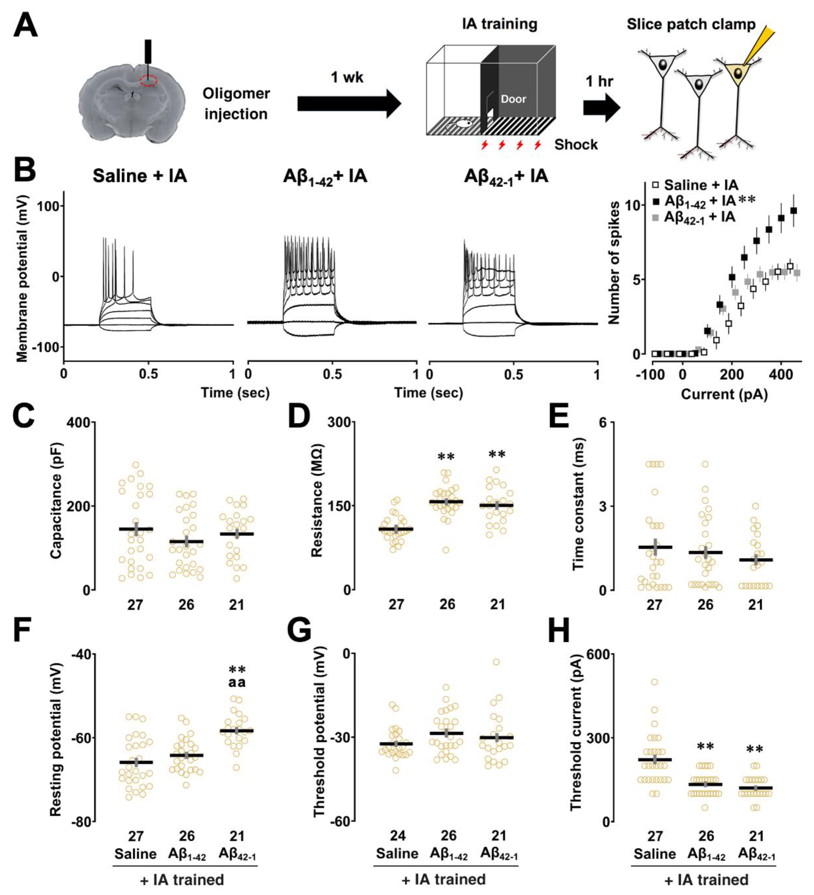 Preprints 119419 g002