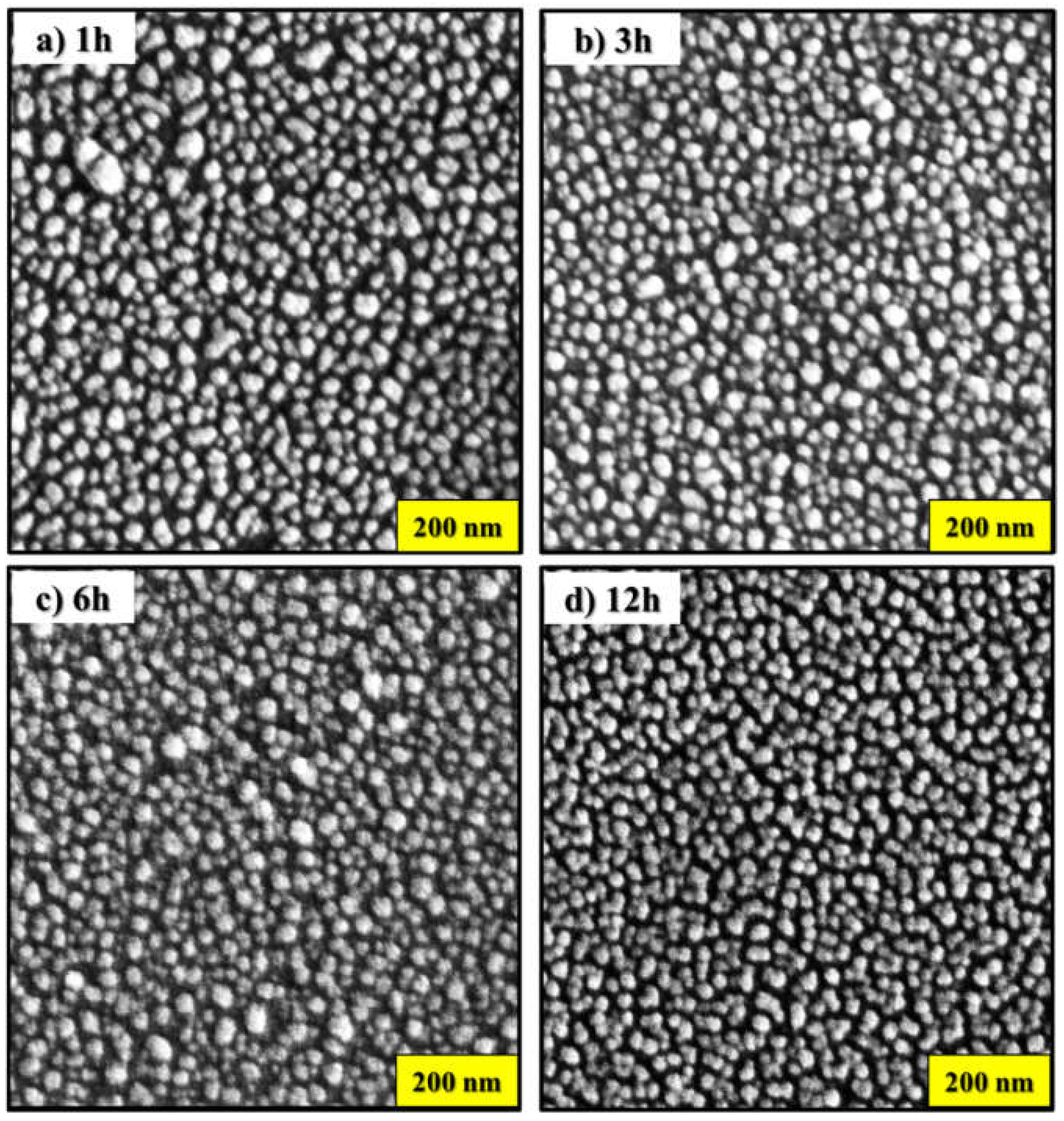 Preprints 106989 g001