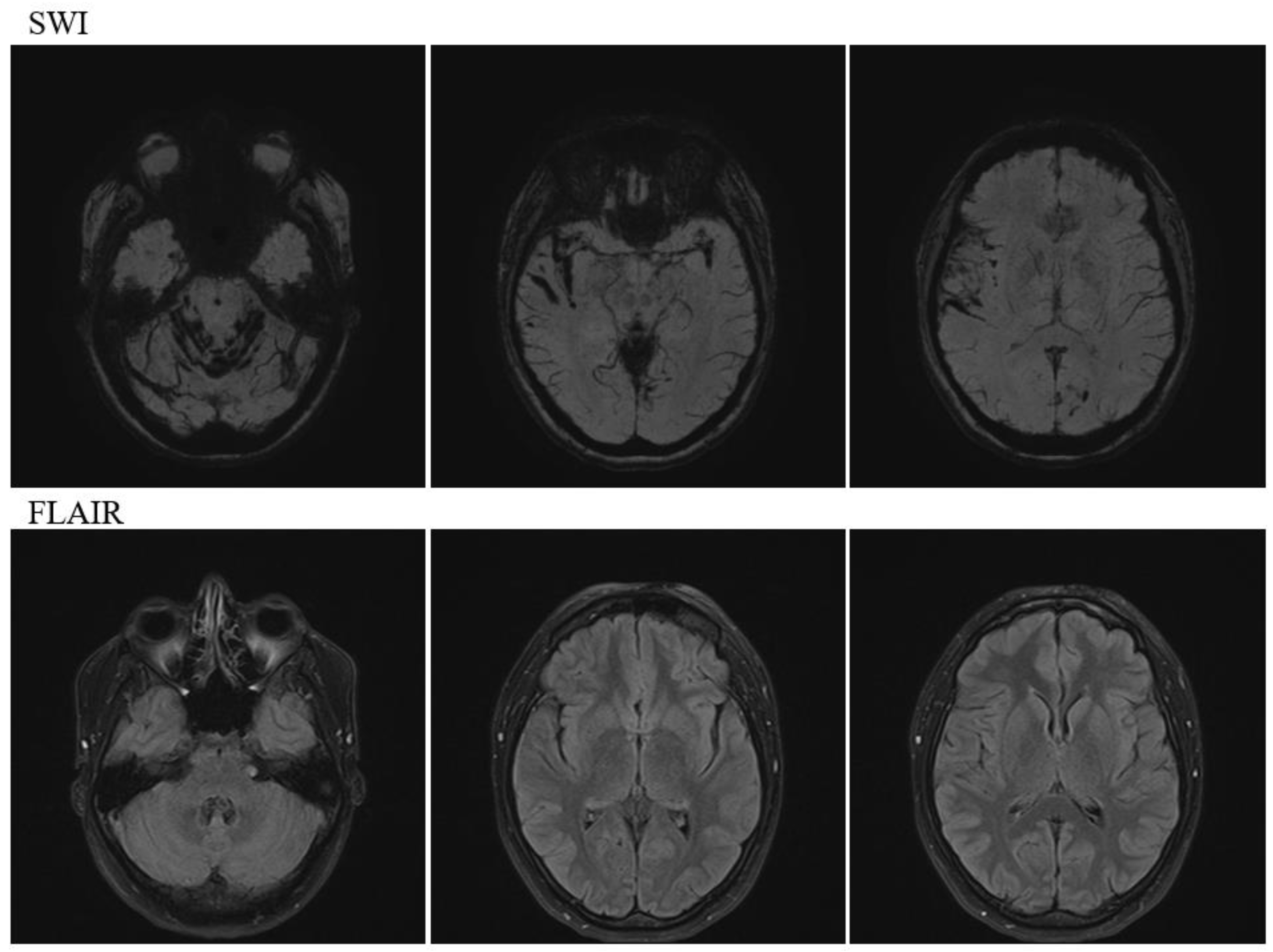 Preprints 107707 g002