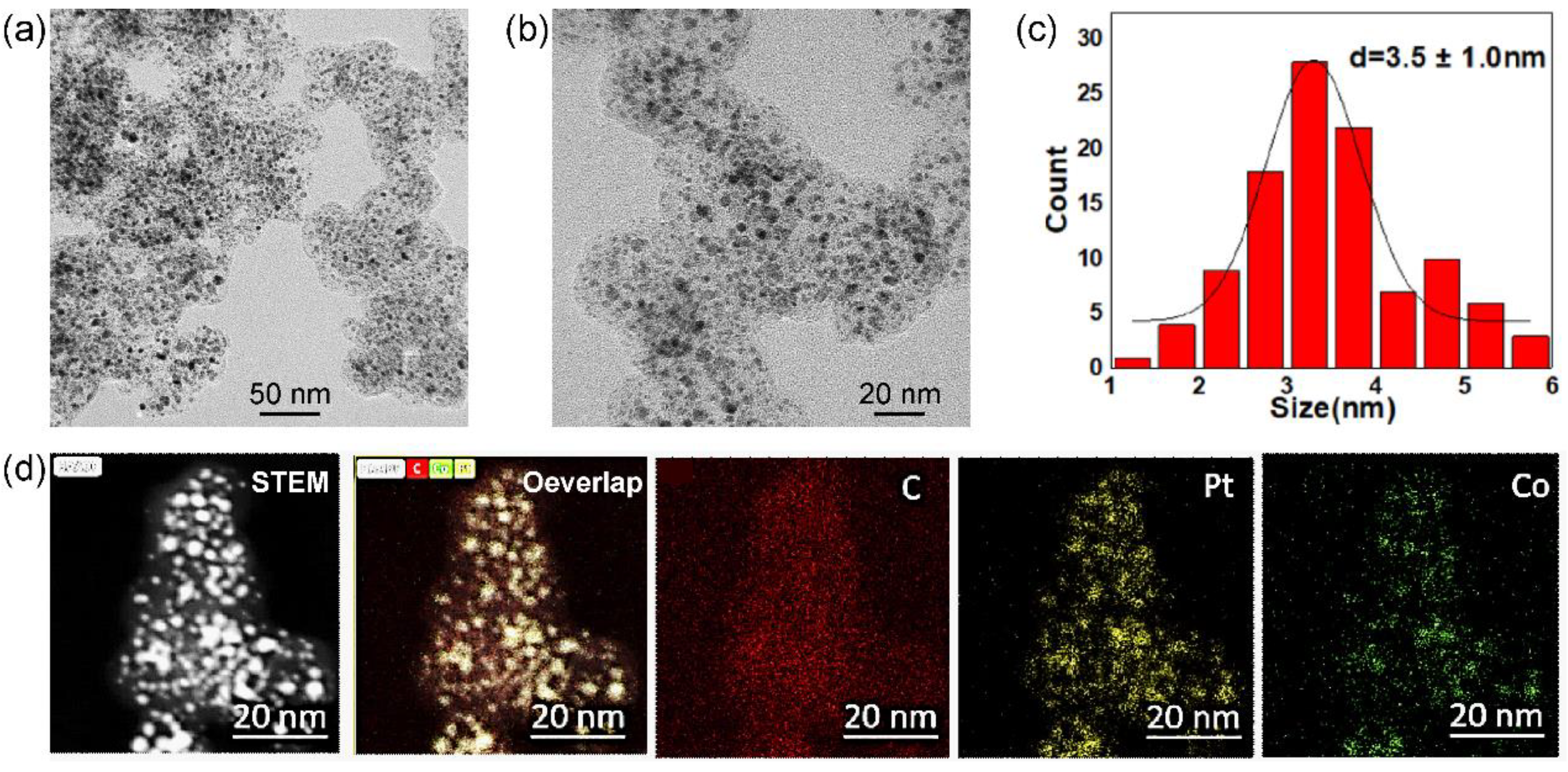 Preprints 75256 g001