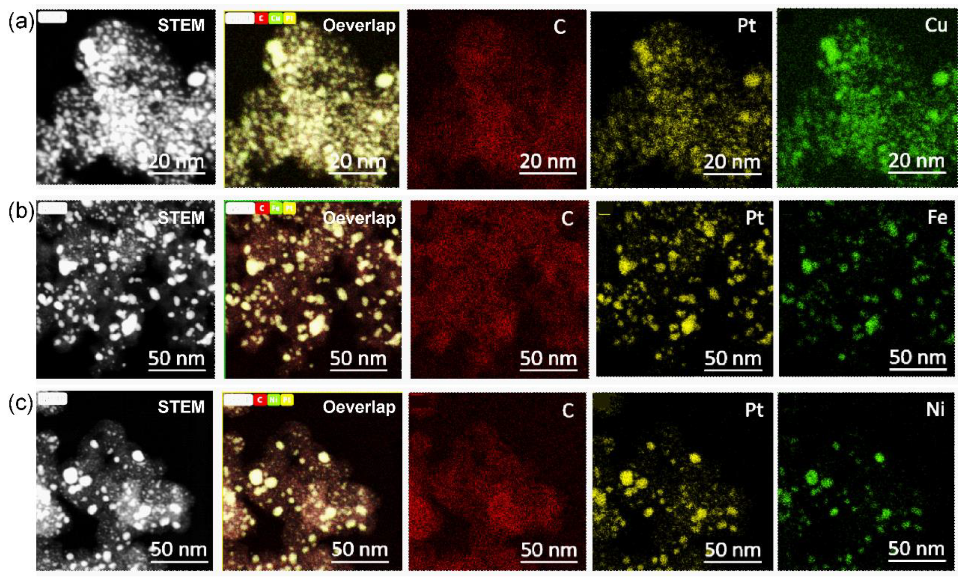 Preprints 75256 g004