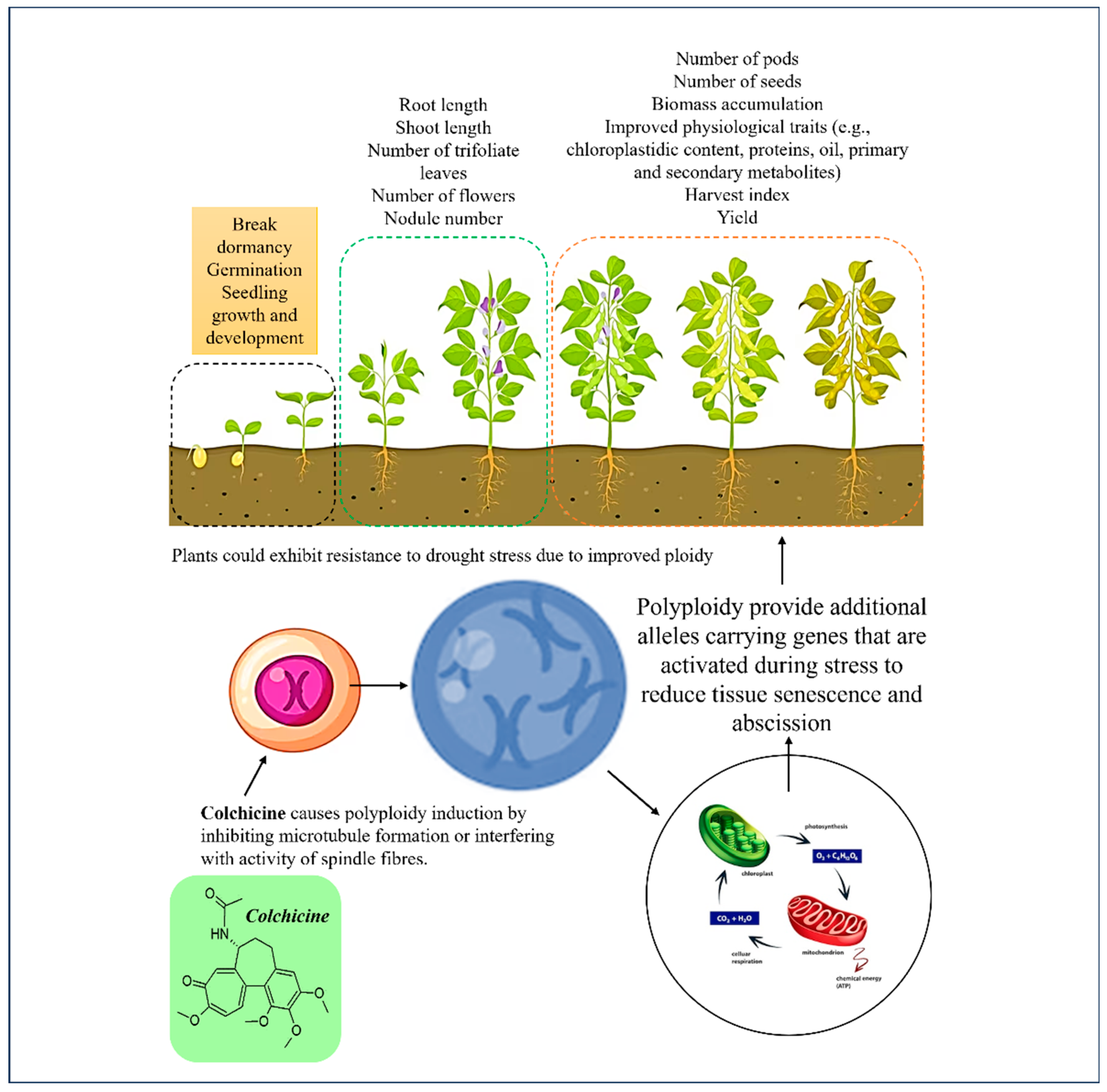 Preprints 85694 g002