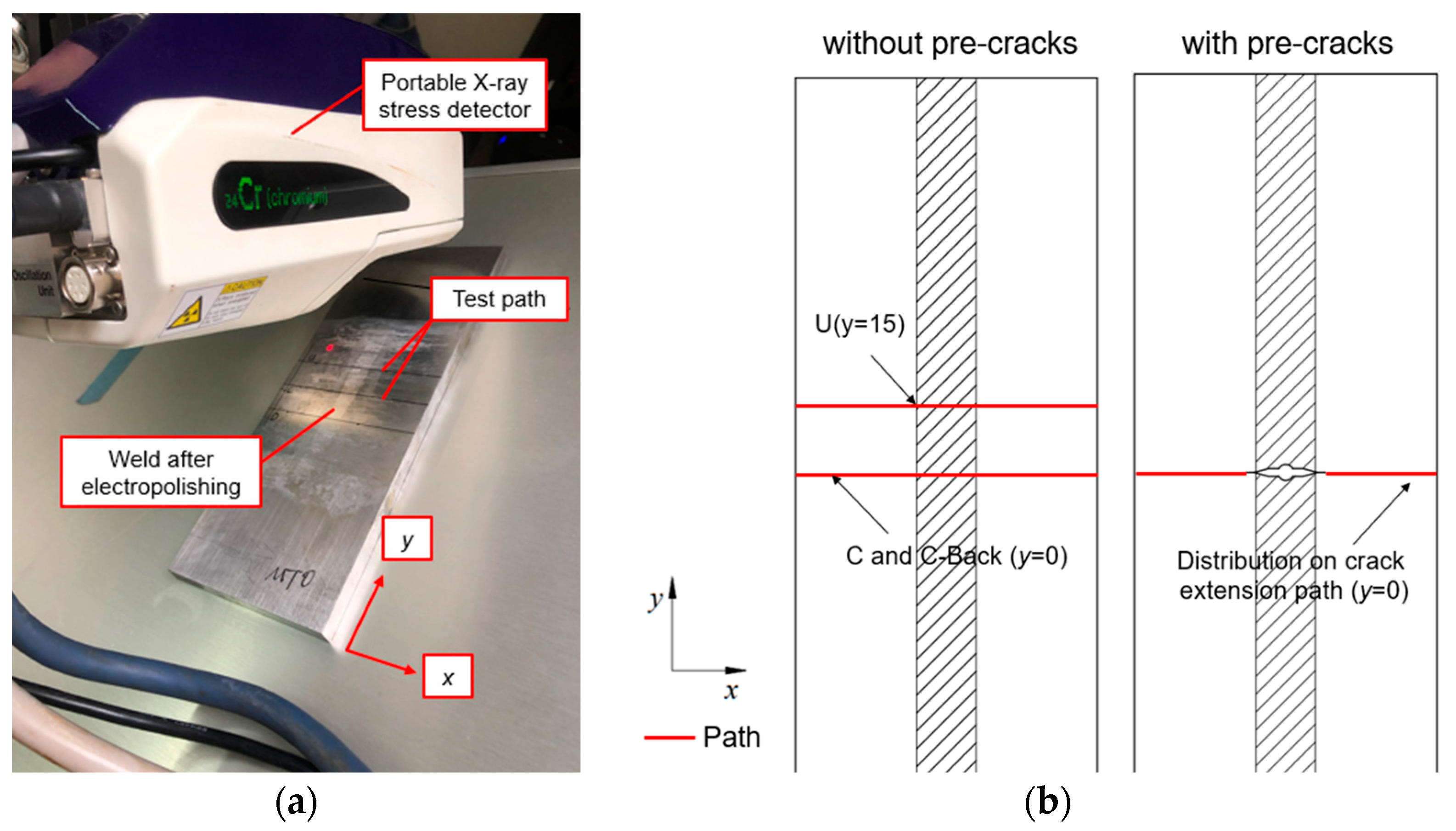 Preprints 90116 g002