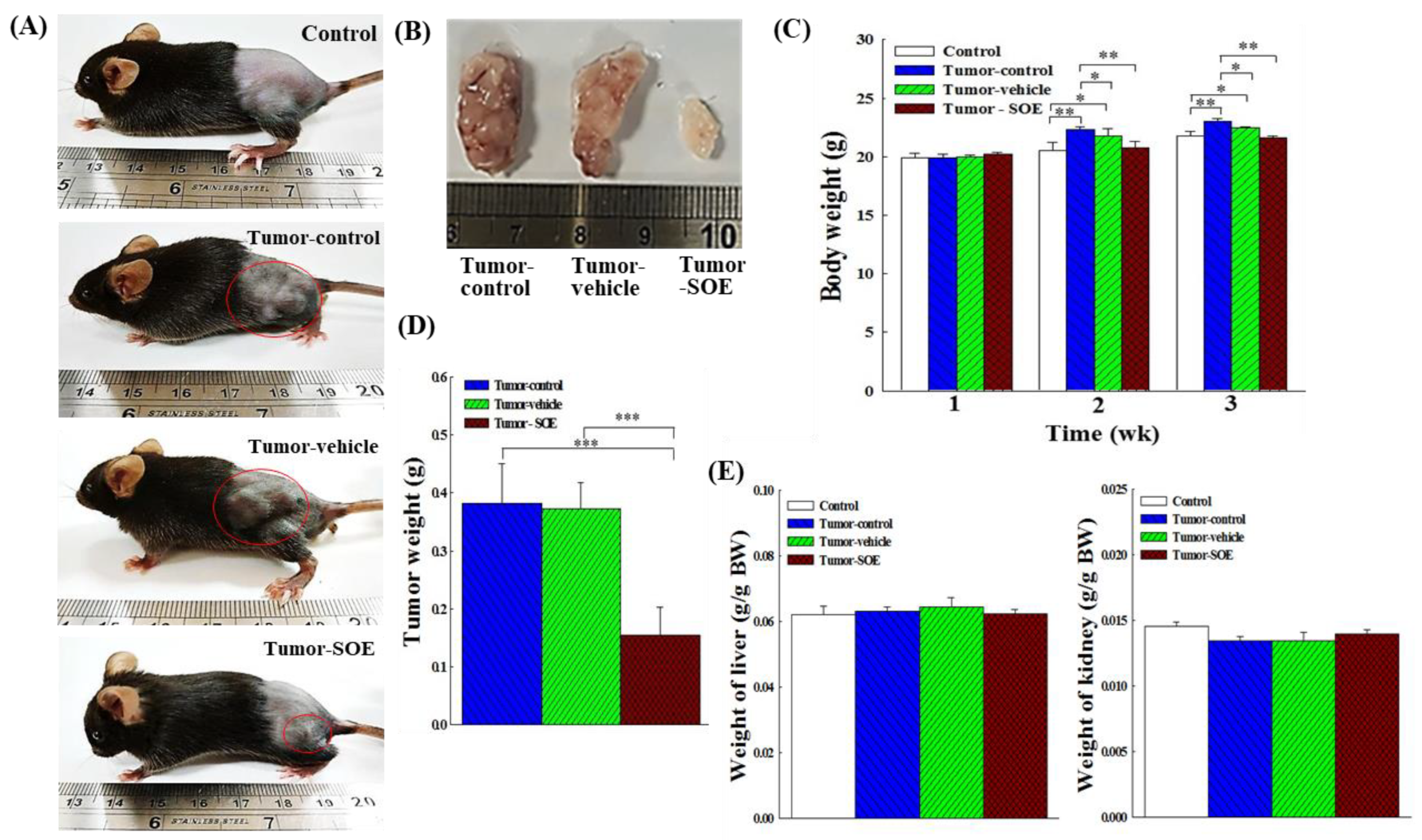 Preprints 99261 g002