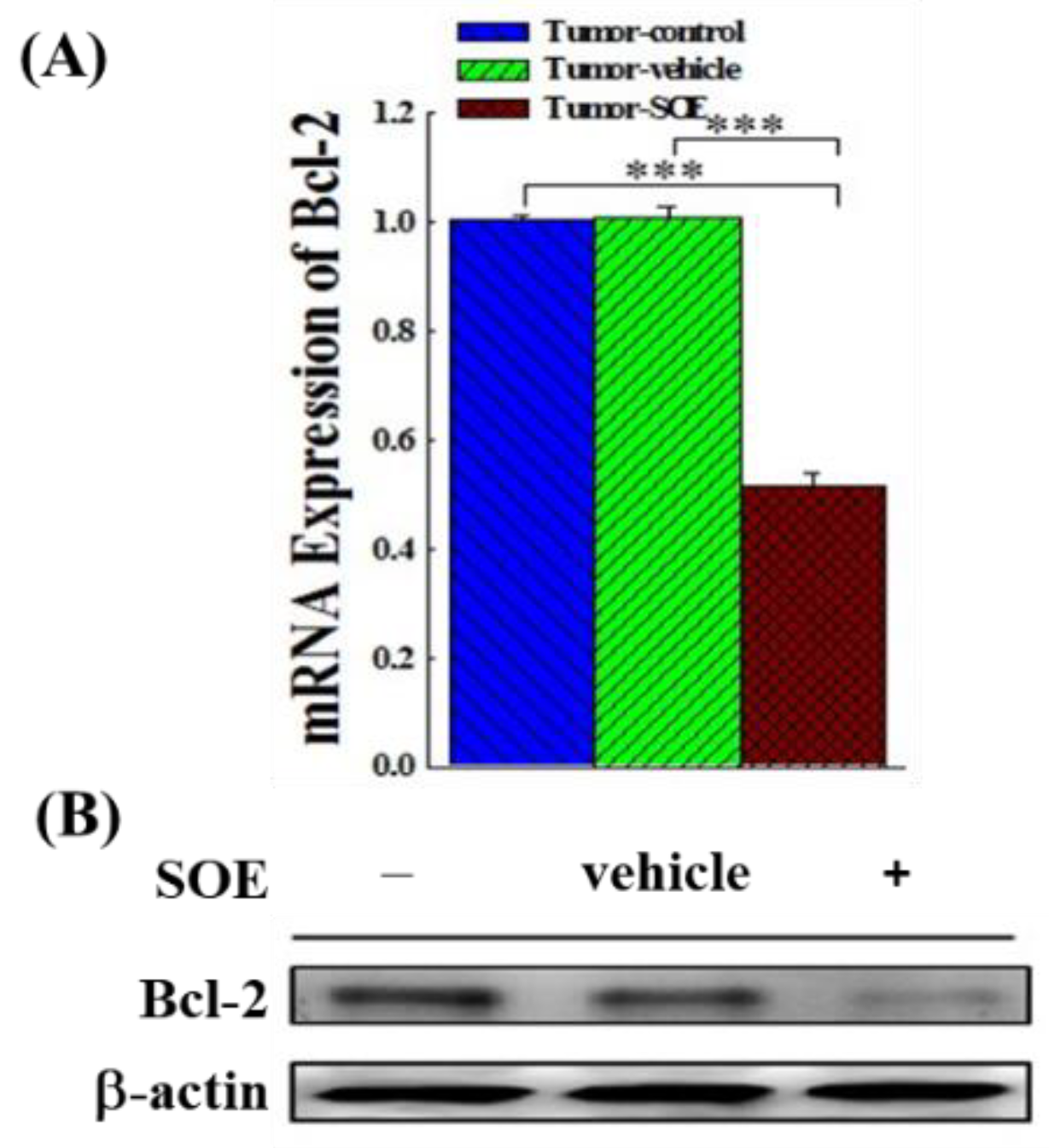 Preprints 99261 g003