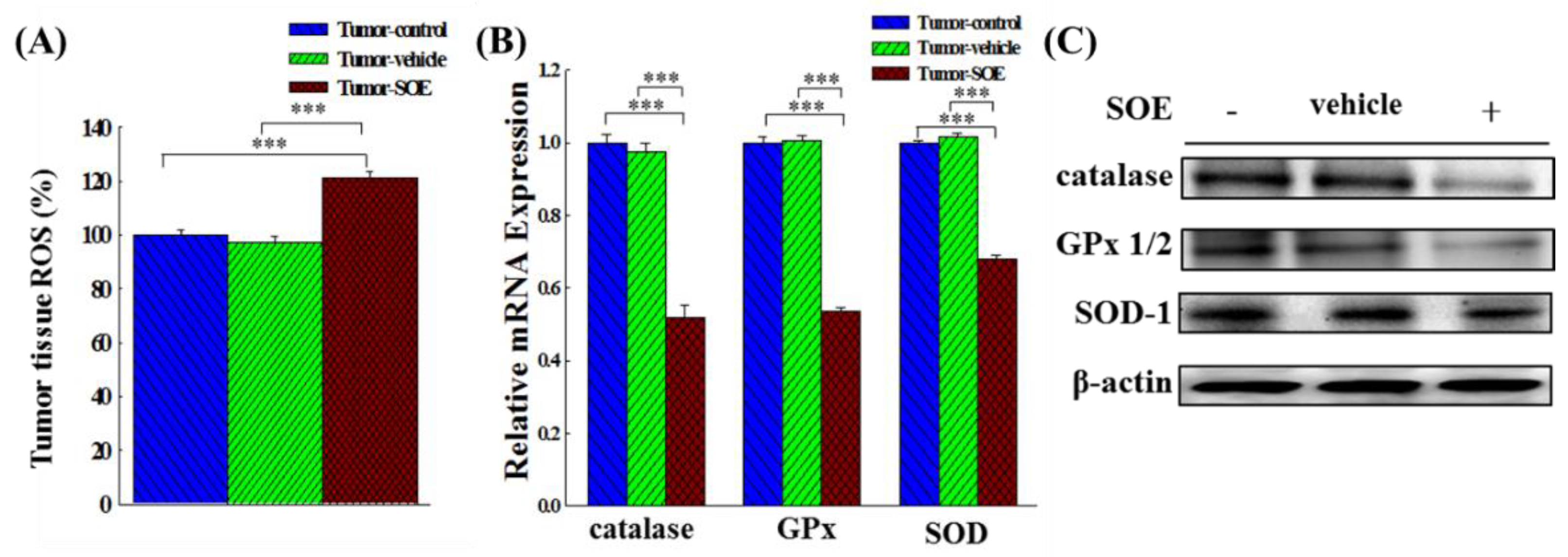 Preprints 99261 g004