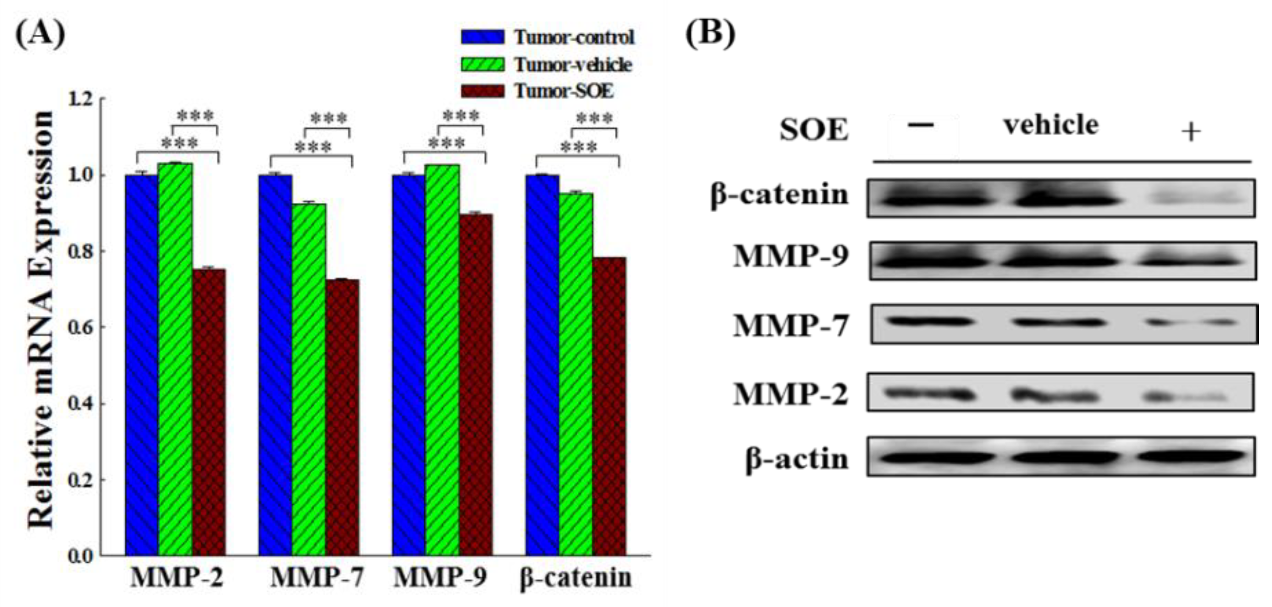 Preprints 99261 g006