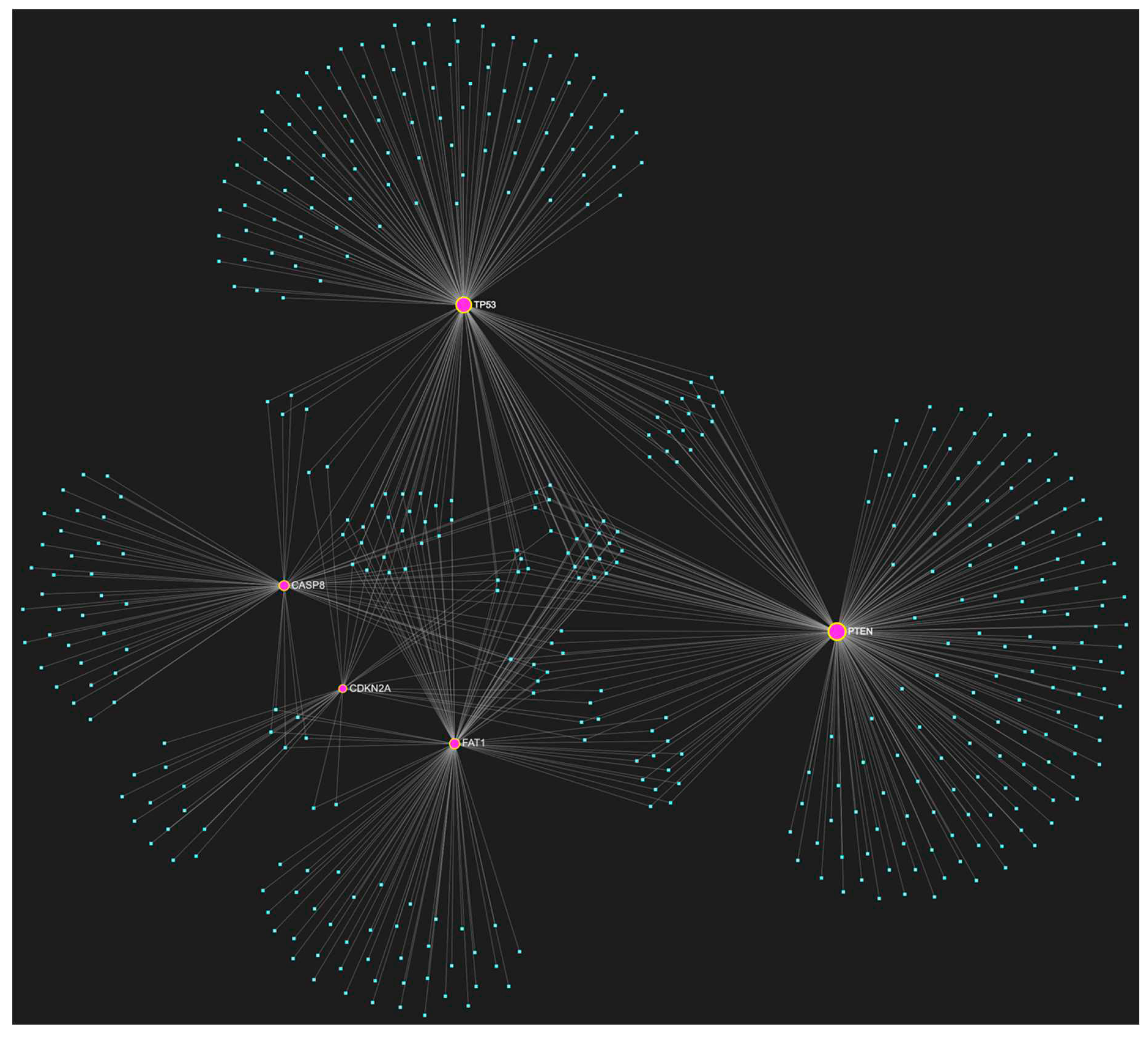 Preprints 79063 g001