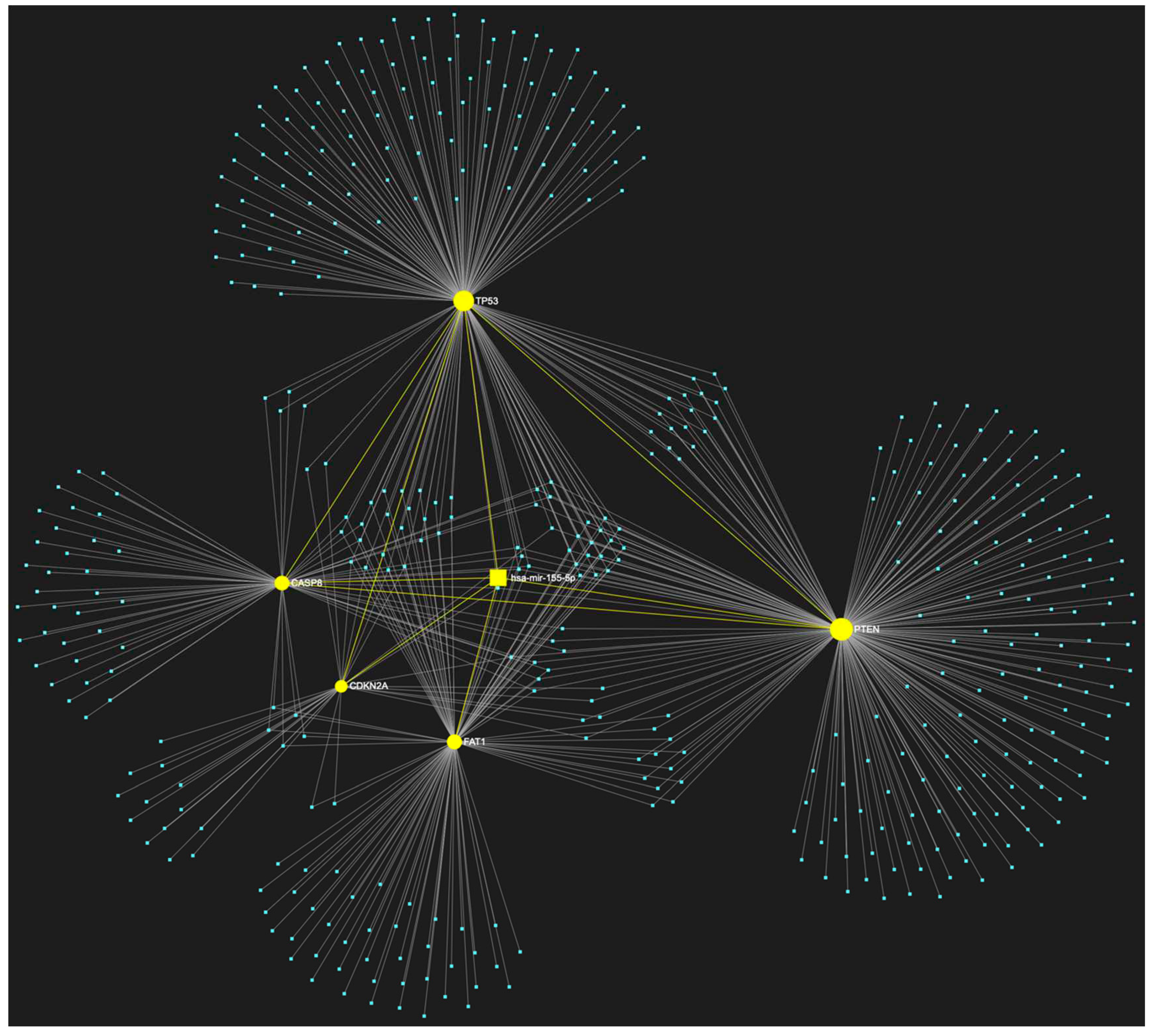 Preprints 79063 g003