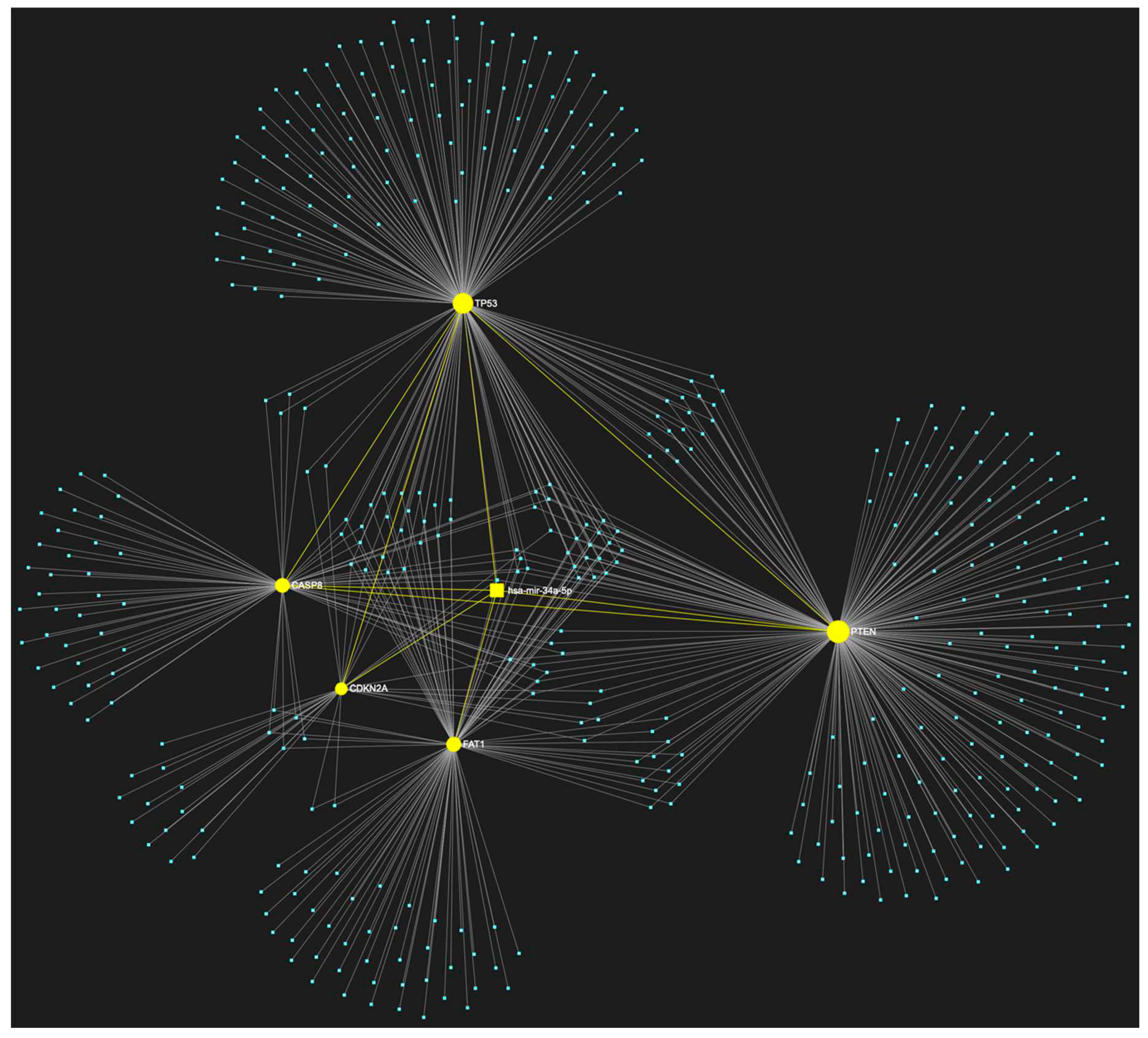 Preprints 79063 g008