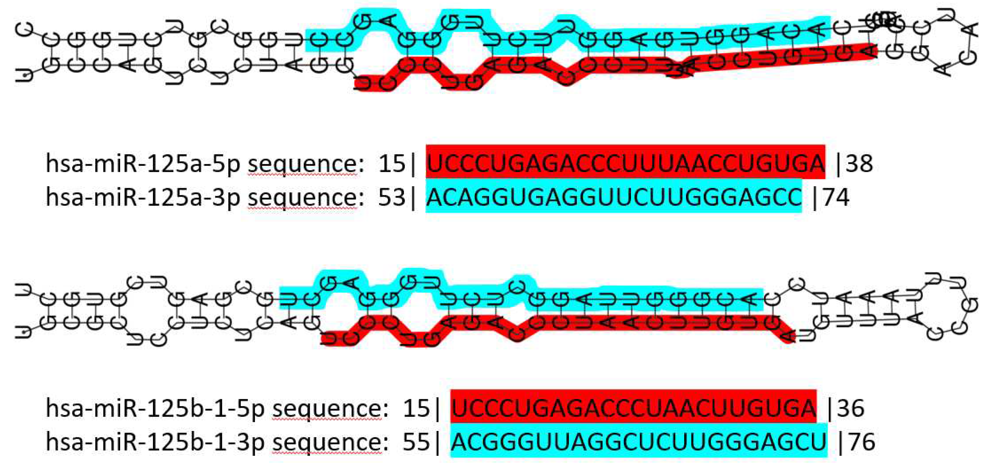 Preprints 85923 g001