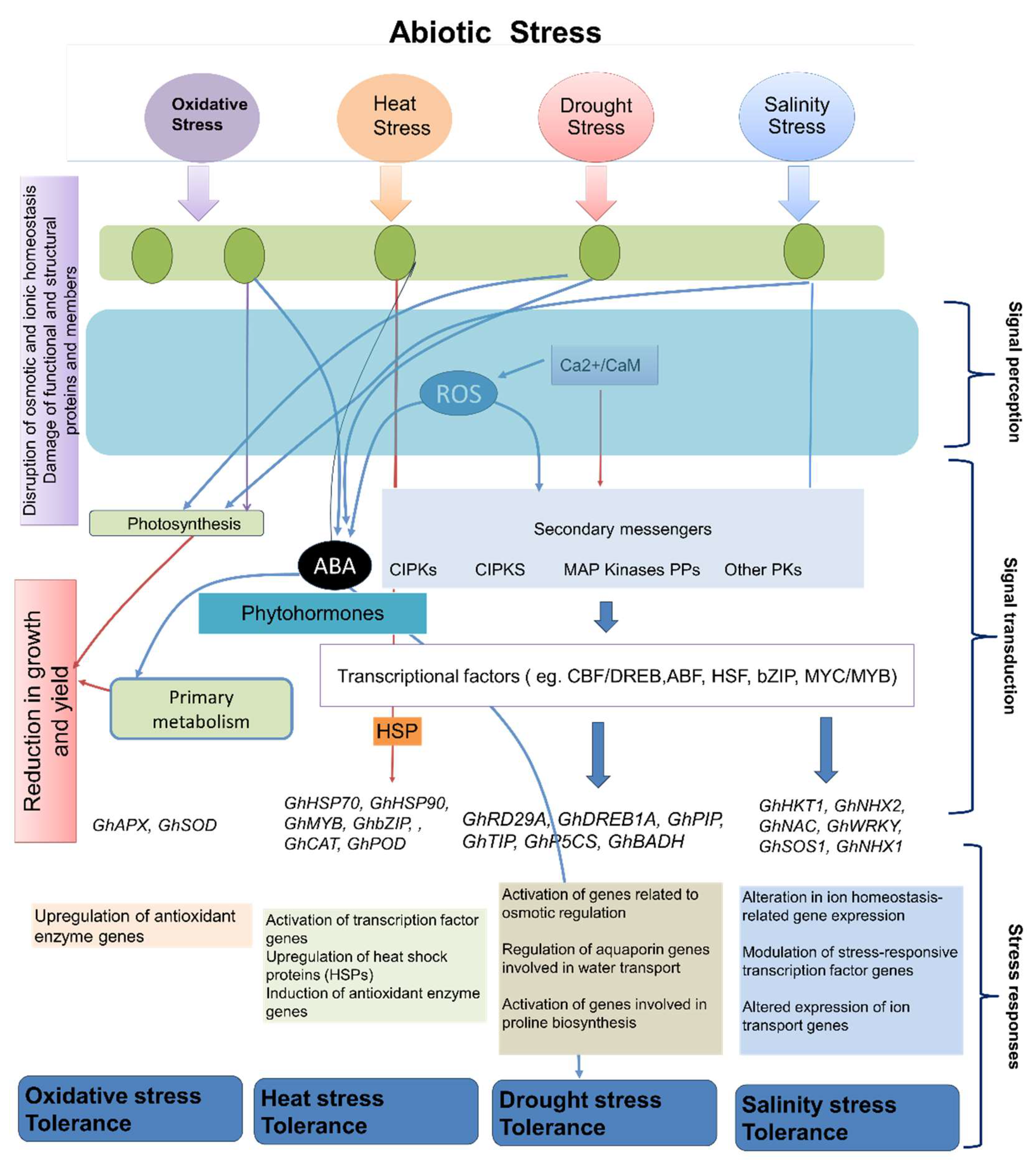 Preprints 106285 g002