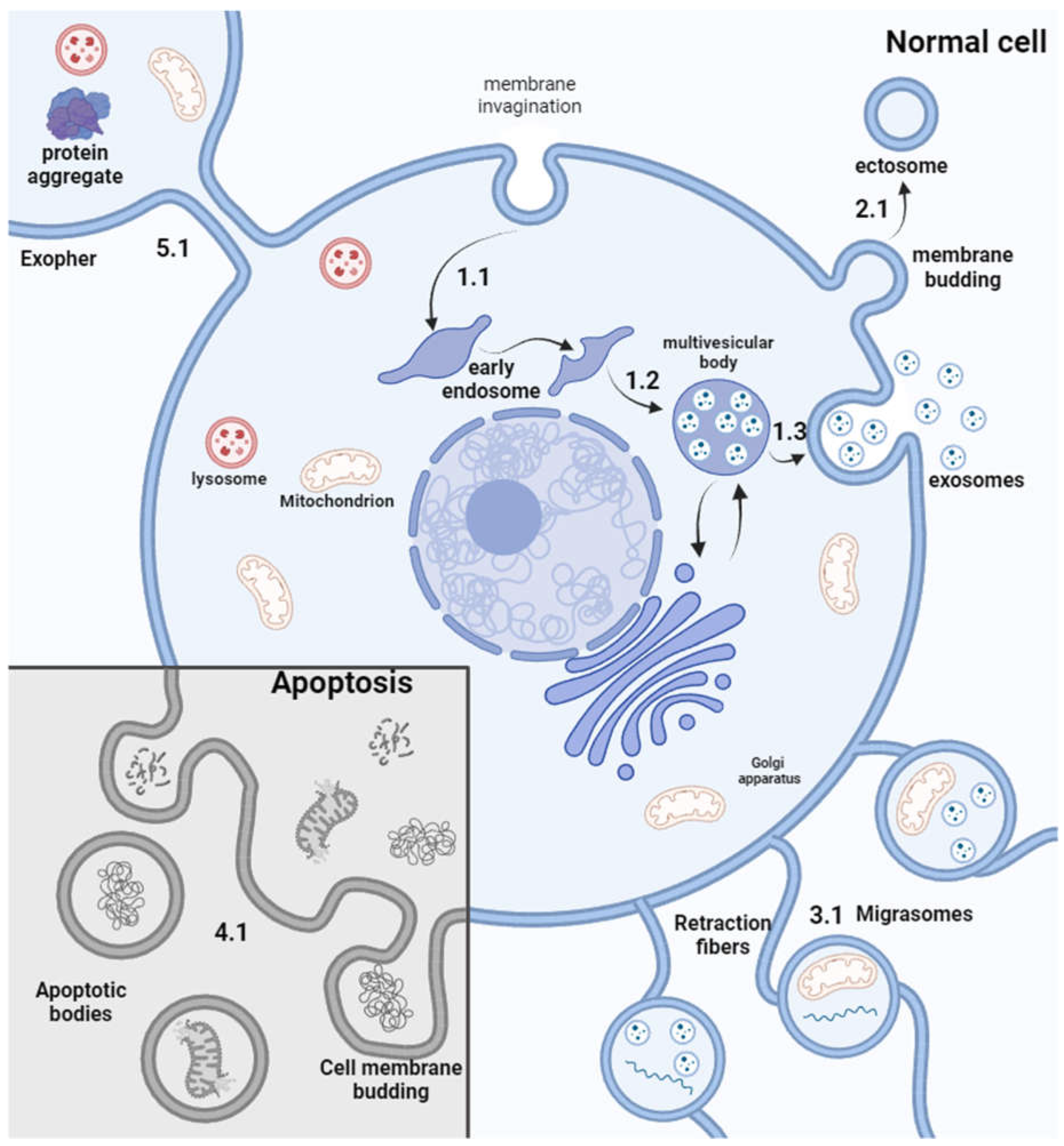 Preprints 117015 g001