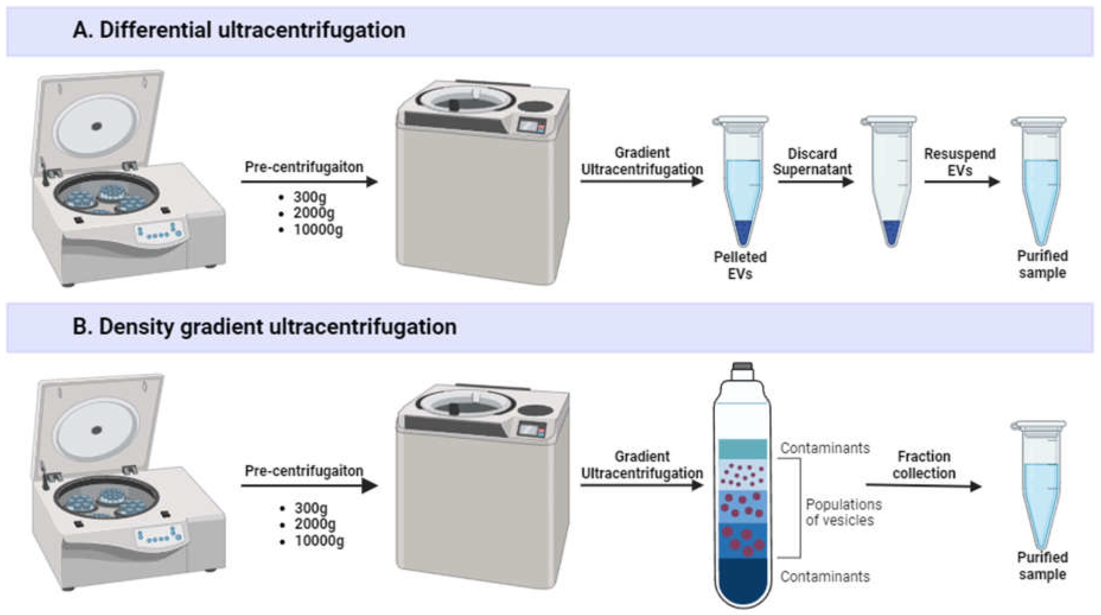 Preprints 117015 g002