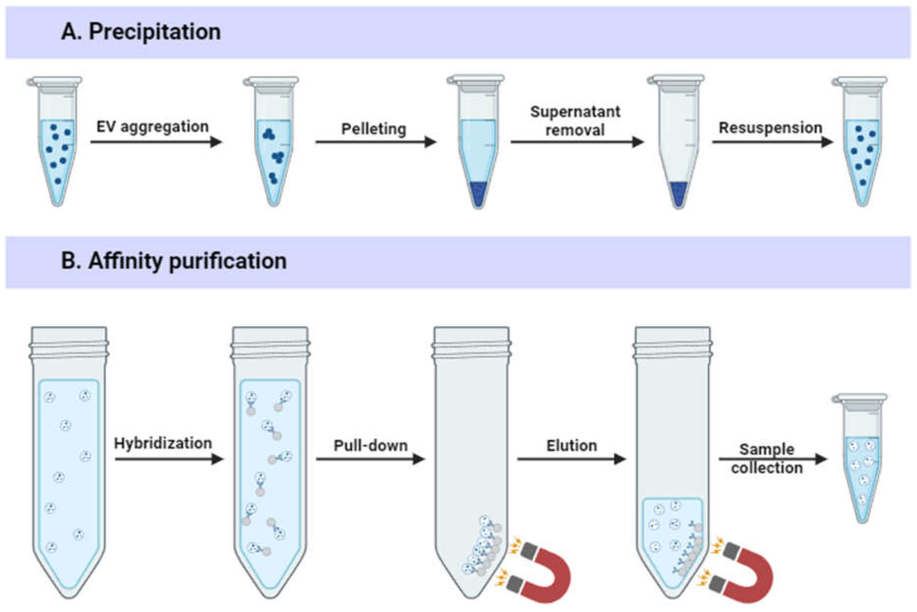 Preprints 117015 g004