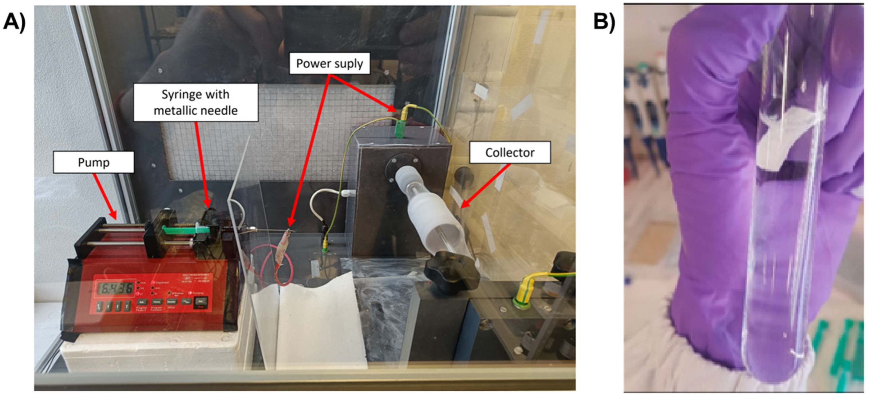 Preprints 119625 g001