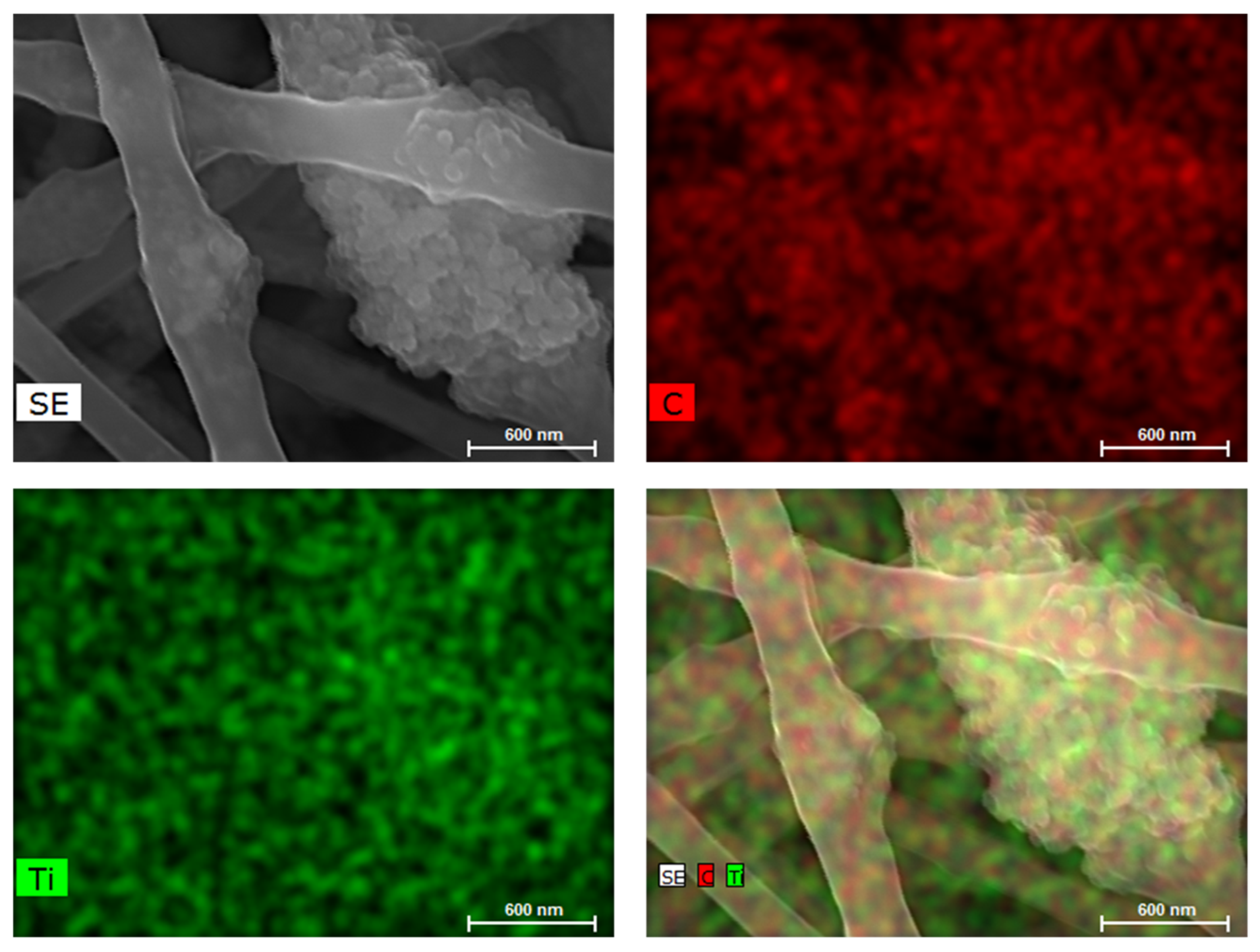 Preprints 119625 g003