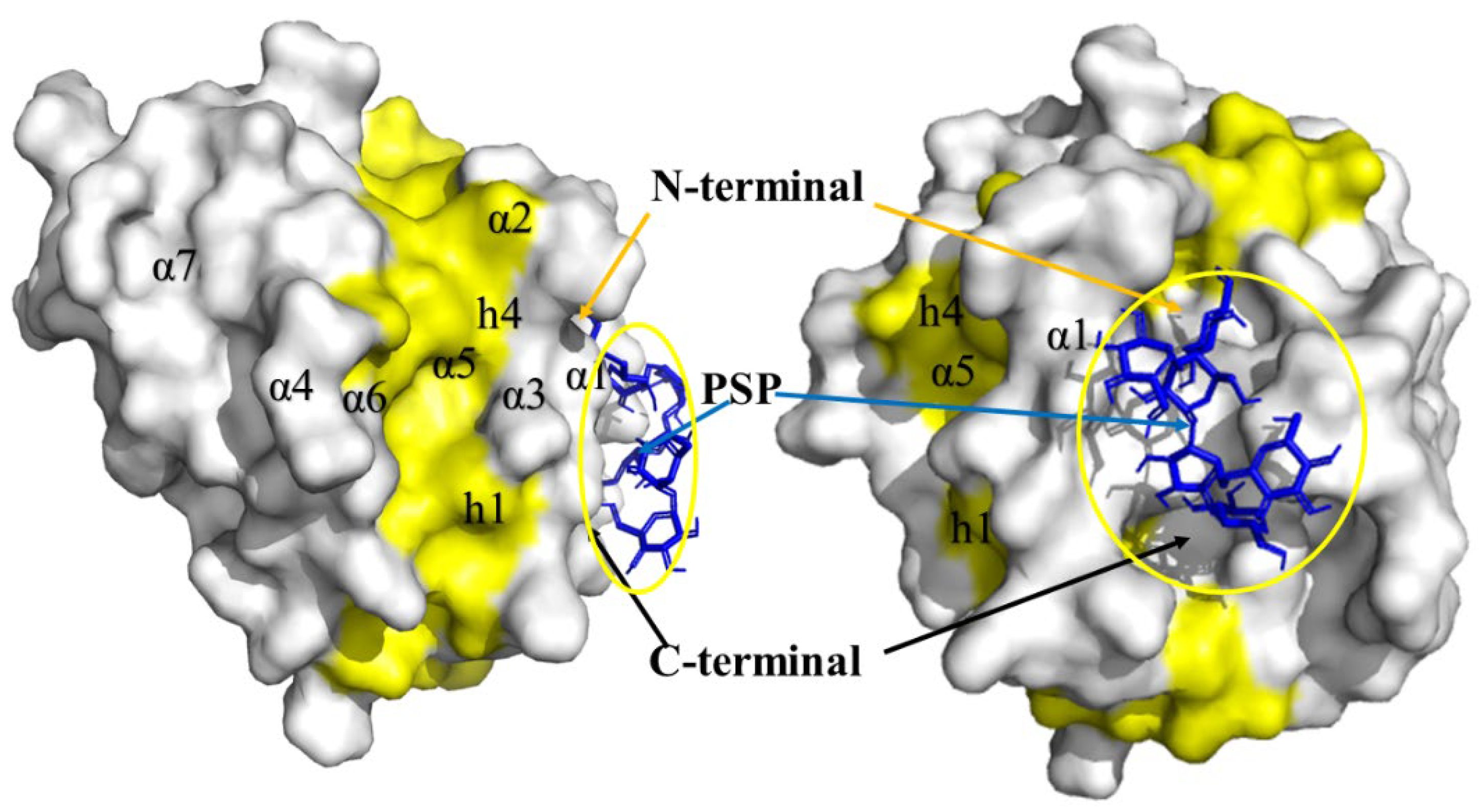 Preprints 119773 g007