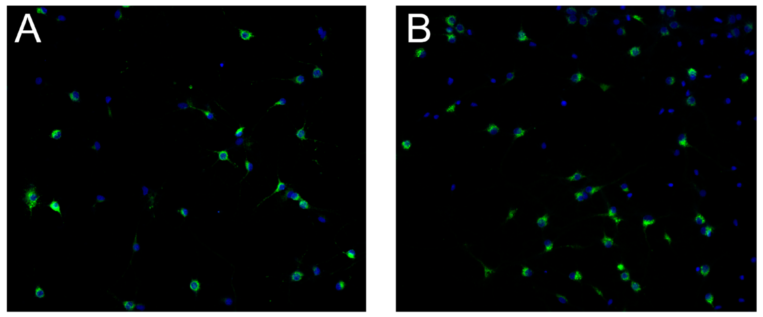 Preprints 113836 g003