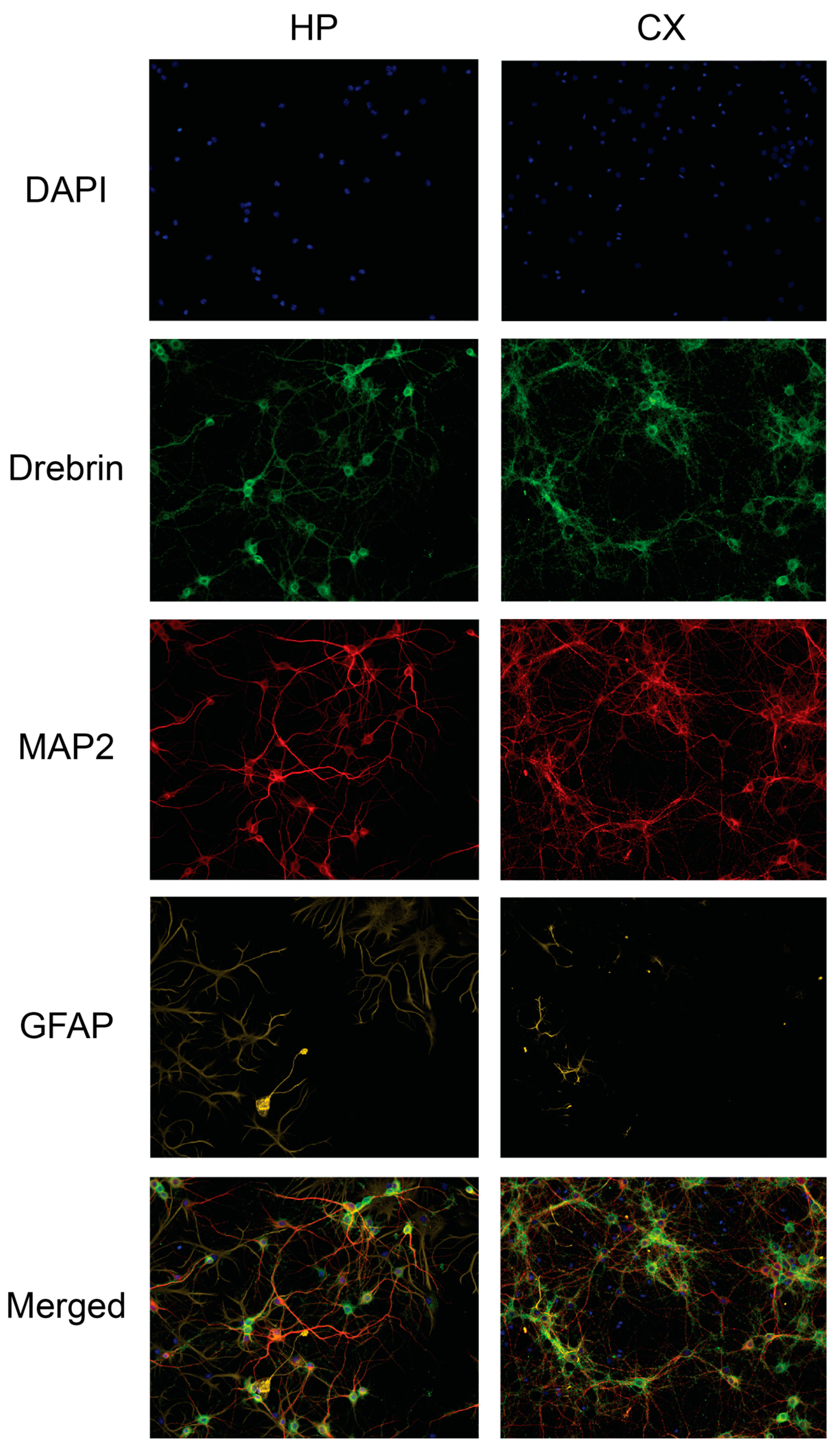 Preprints 113836 g005