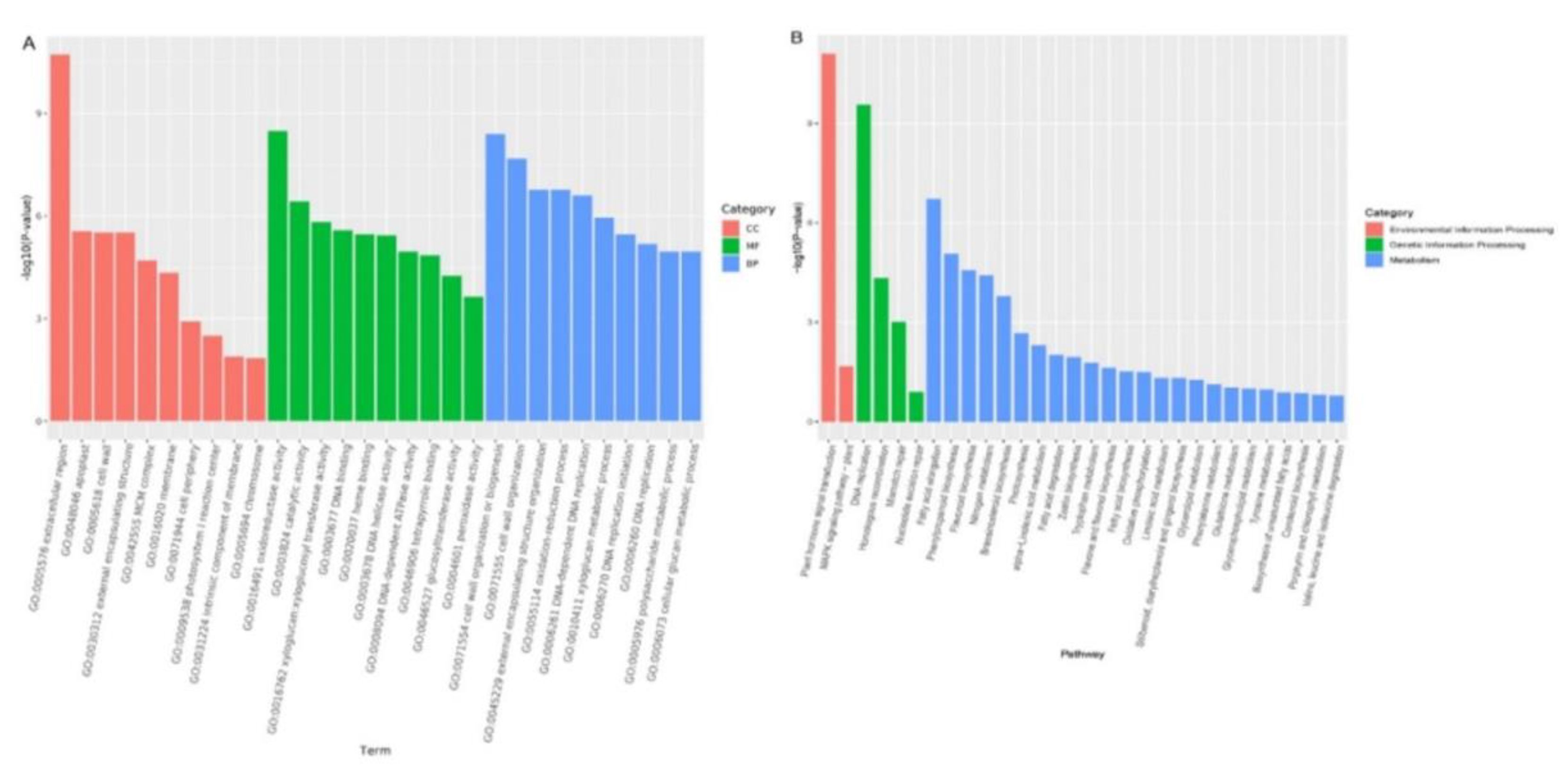 Preprints 96373 g003