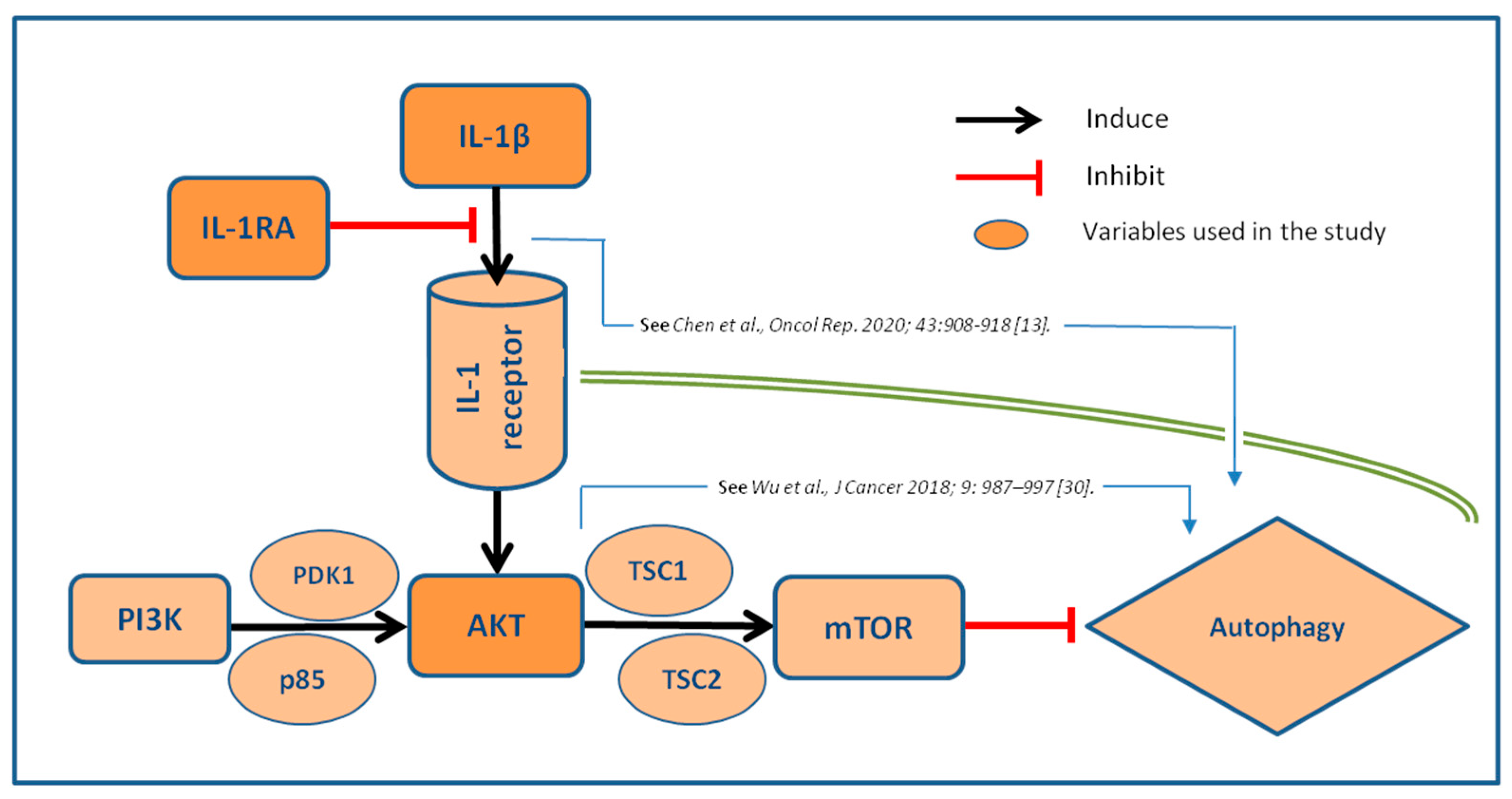 Preprints 95892 g004