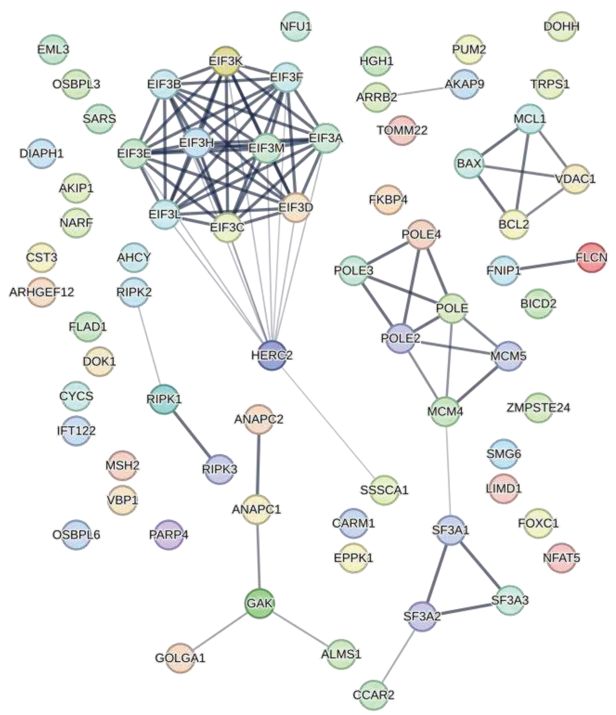 Preprints 68182 g003