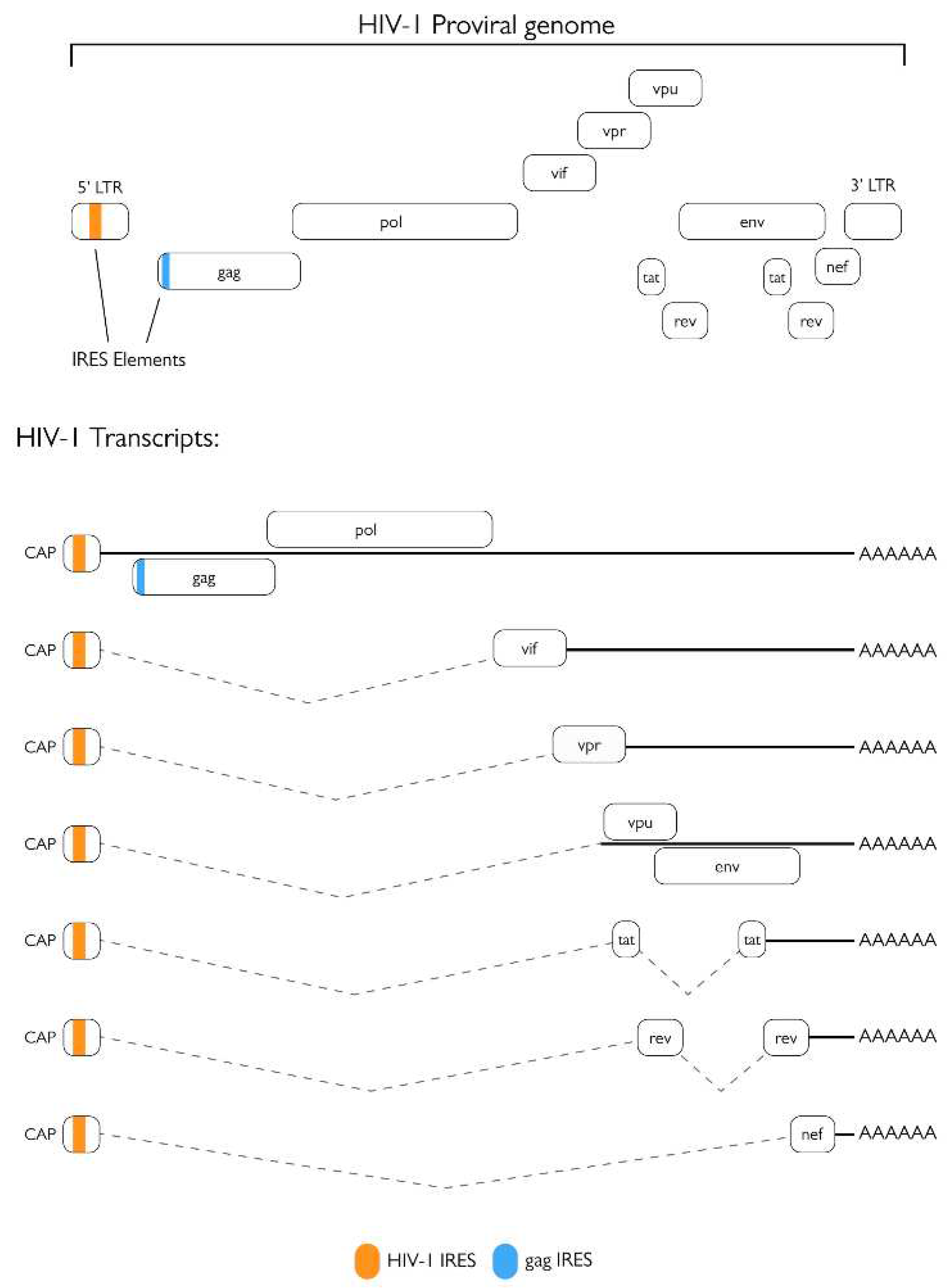 Preprints 68182 g005