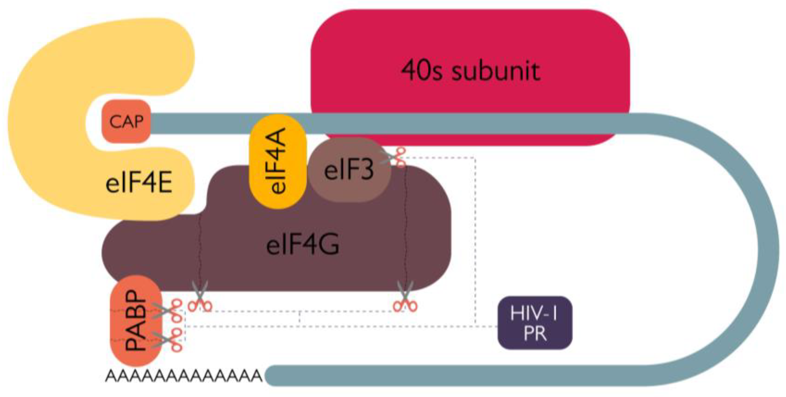 Preprints 68182 g006