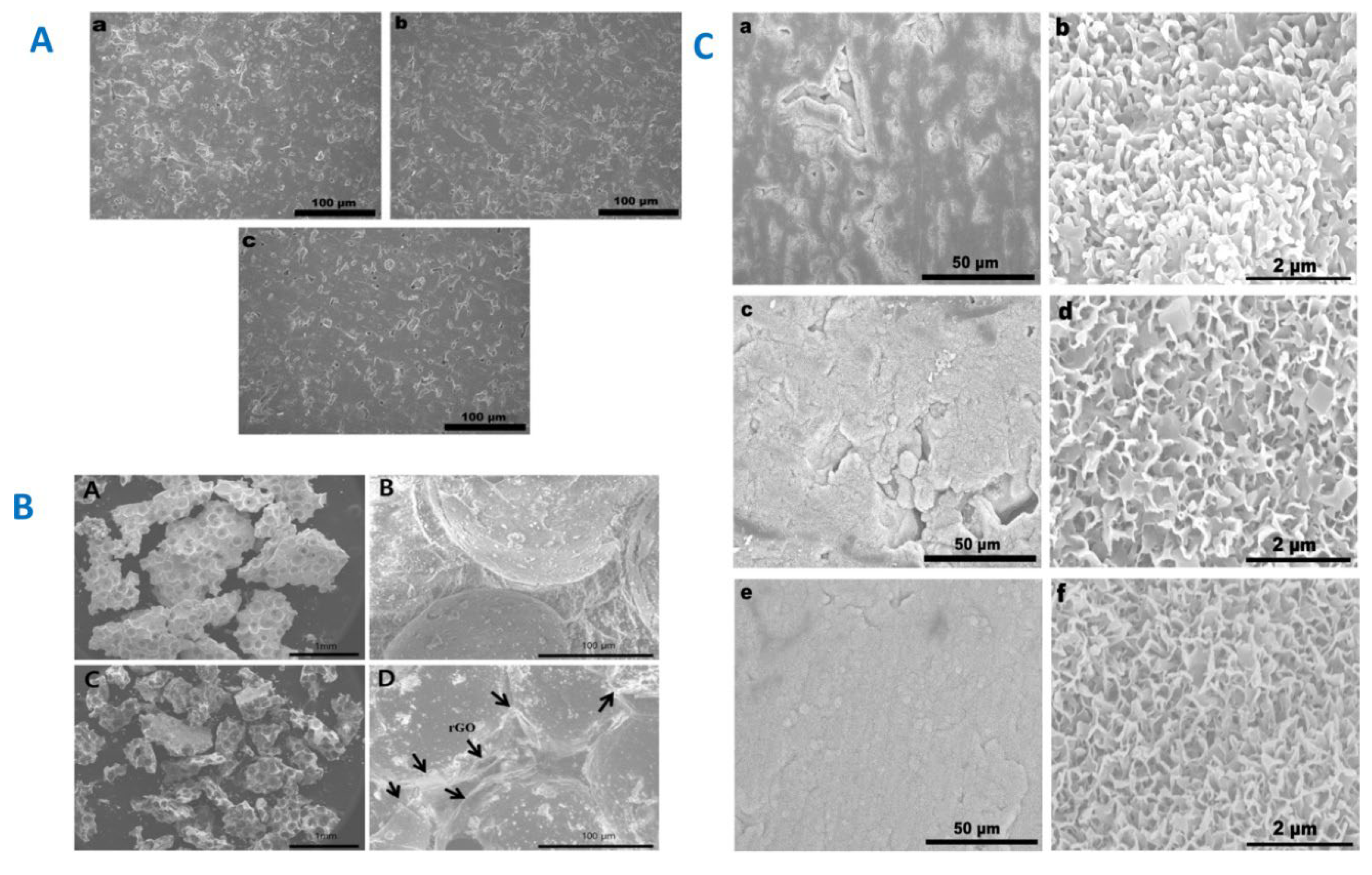 Preprints 100749 g005