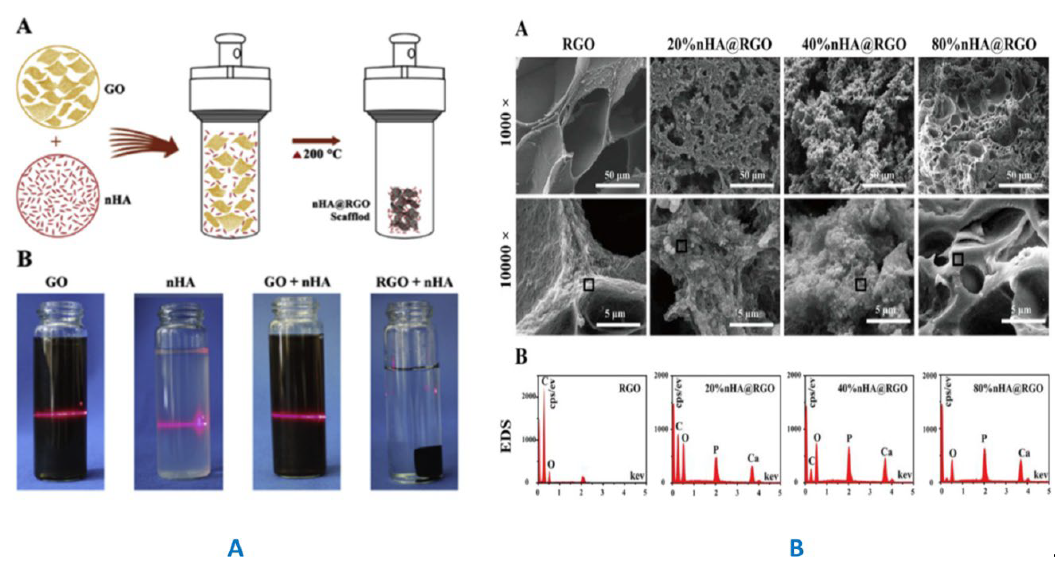 Preprints 100749 g007