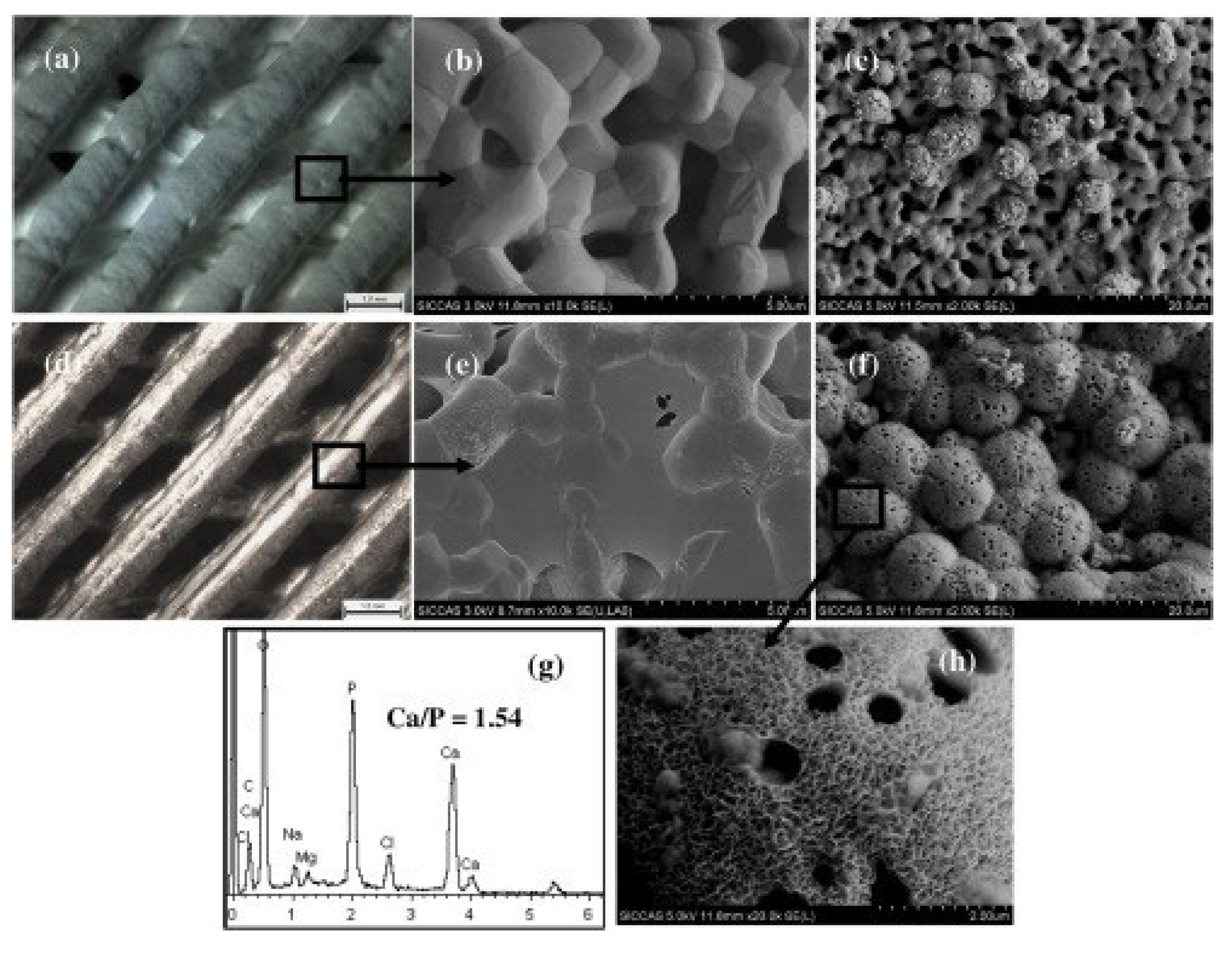 Preprints 100749 g010