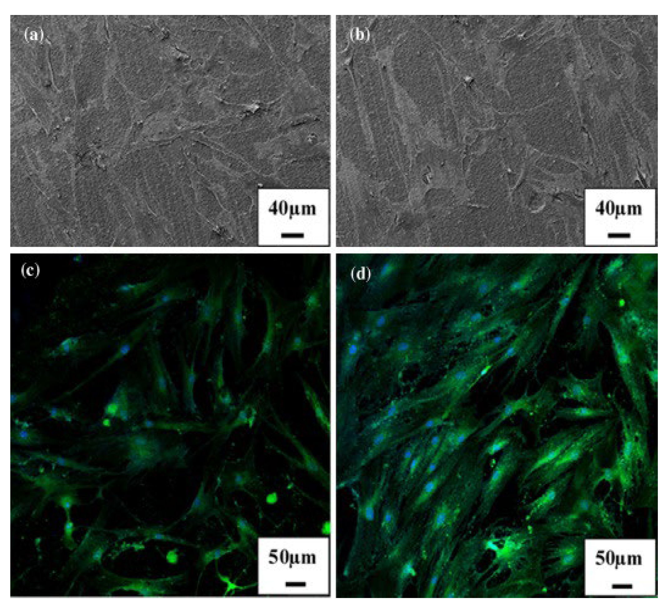 Preprints 100749 g011