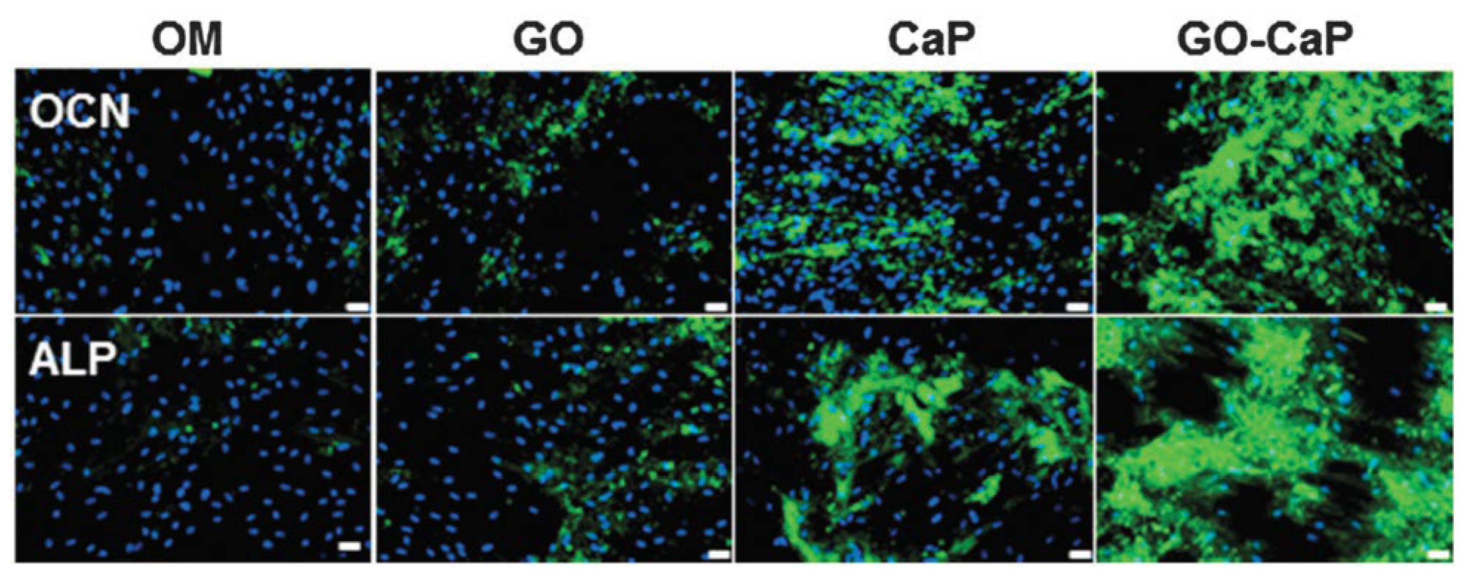 Preprints 100749 g013