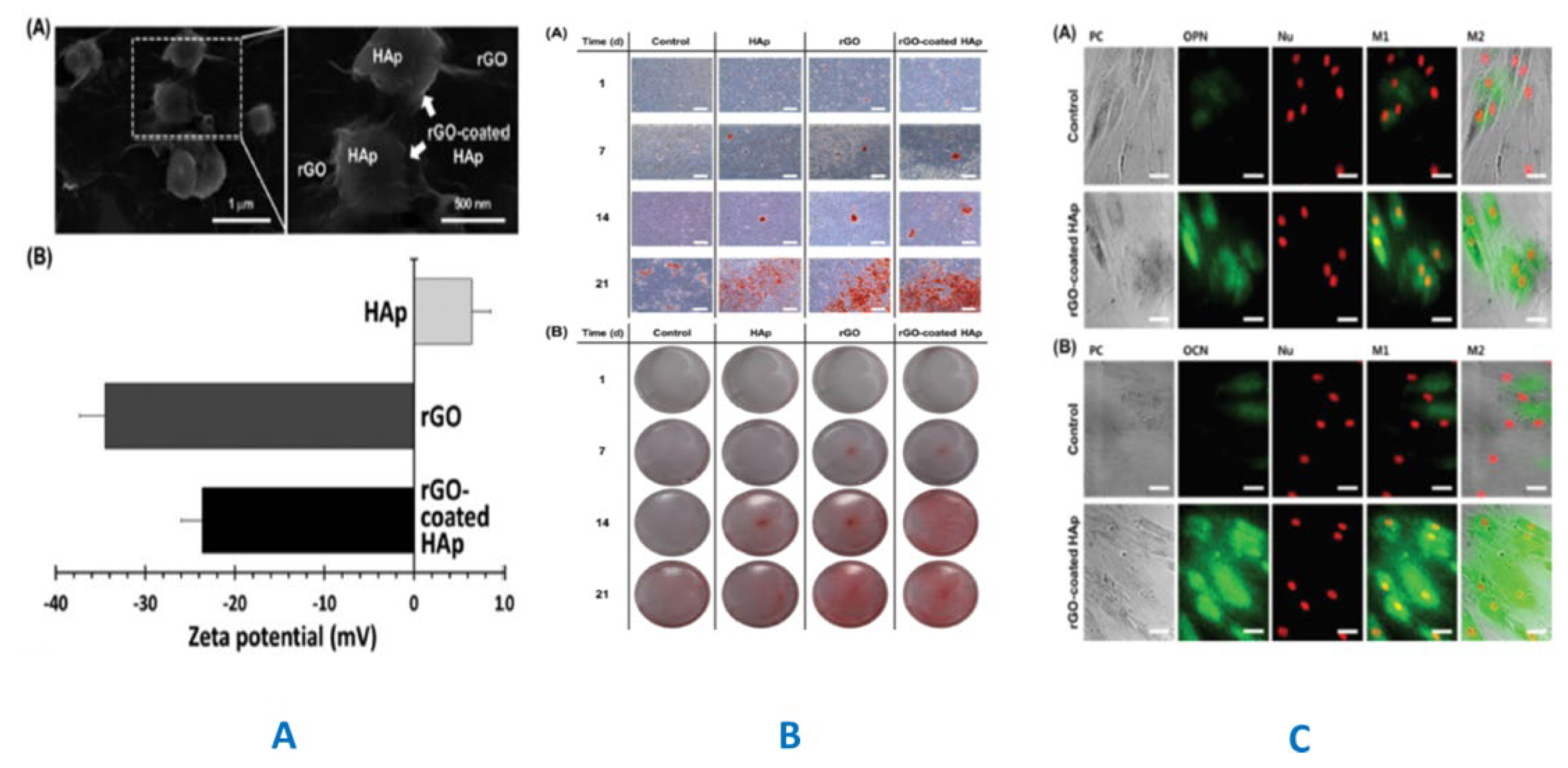 Preprints 100749 g015