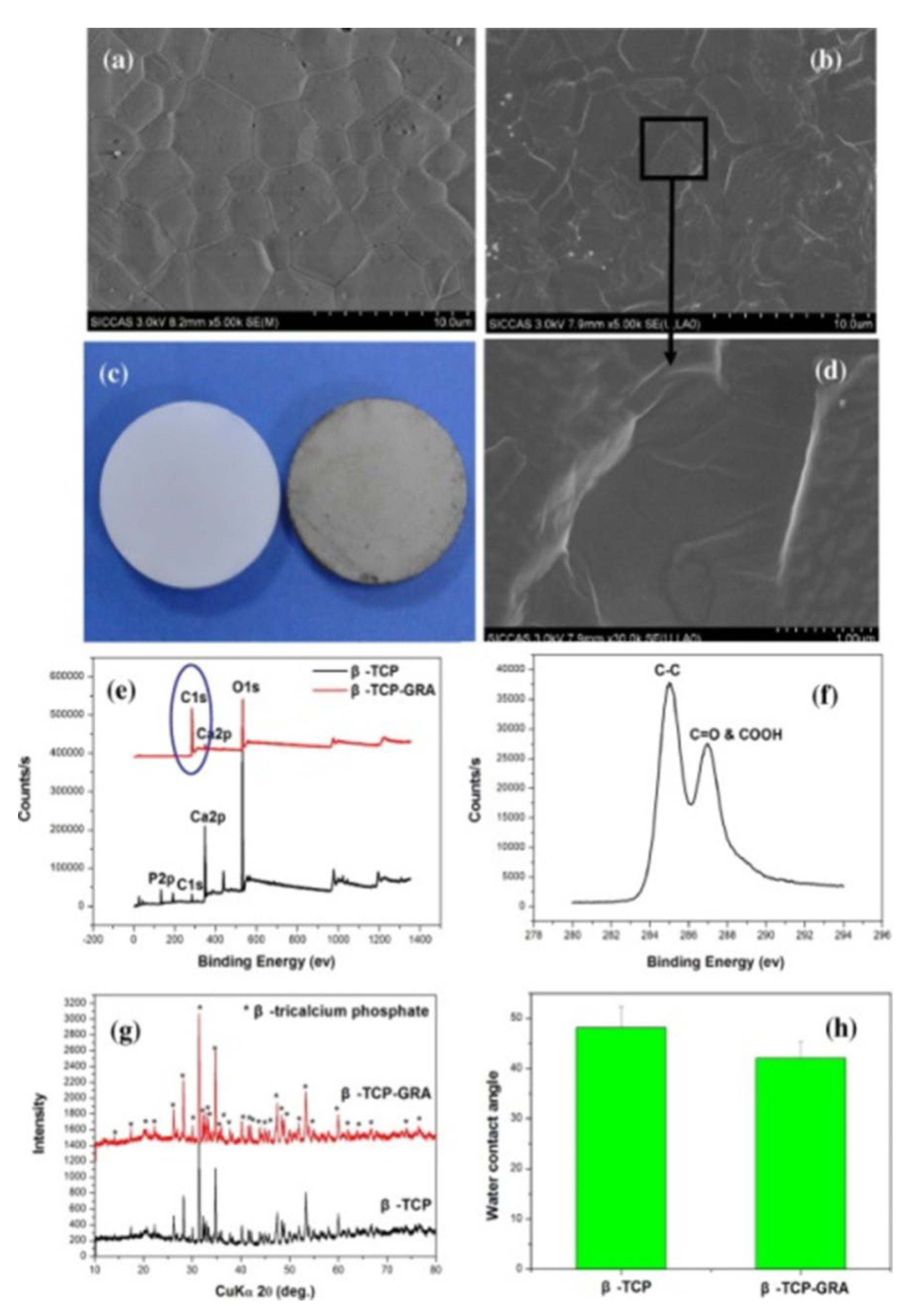 Preprints 100749 g016