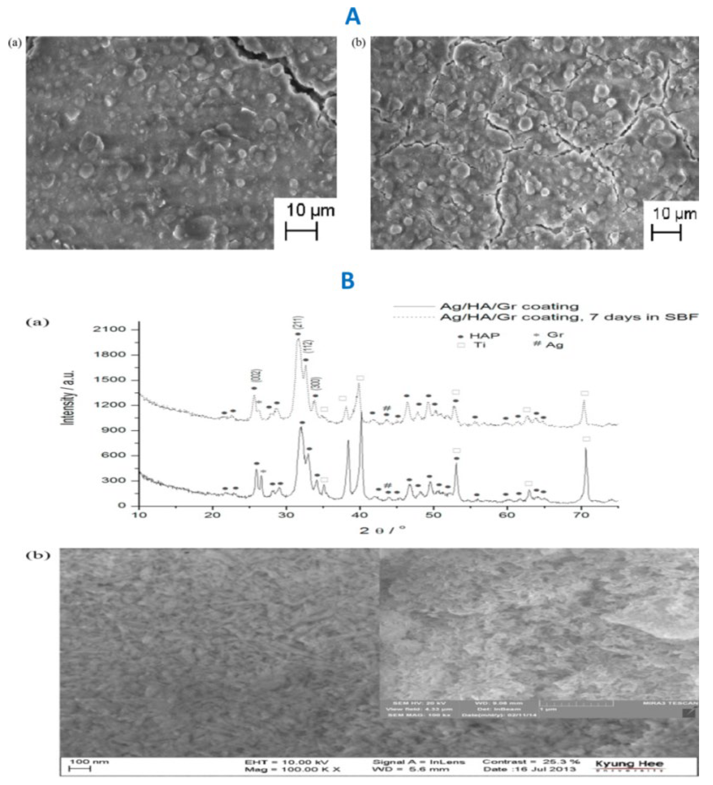 Preprints 100749 g017